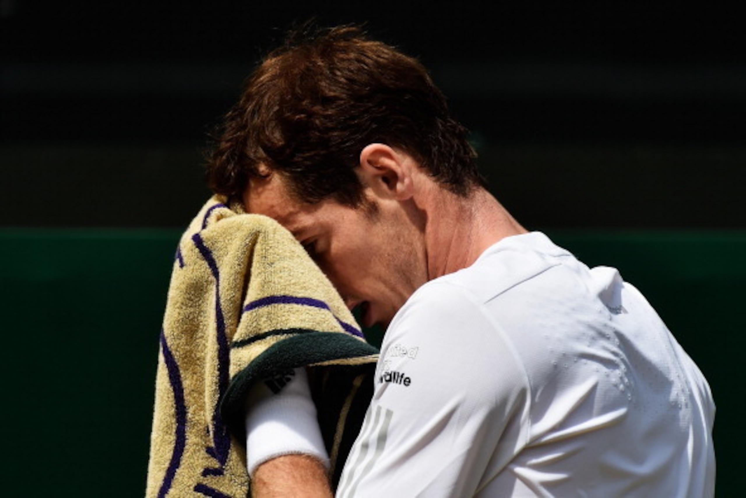 LONDON, ENGLAND - JULY 02:  Andy Murray of Great Britain reacts during his Gentlemen's Singles quarter-final match against Grigor Dimitrov of Bulgaria on day nine of the Wimbledon Lawn Tennis Championships at the All England Lawn Tennis and Croquet Club  