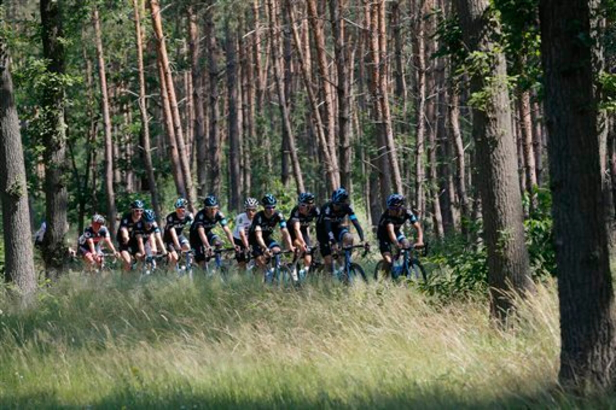 Utrecht will host this year's Grand Depart.