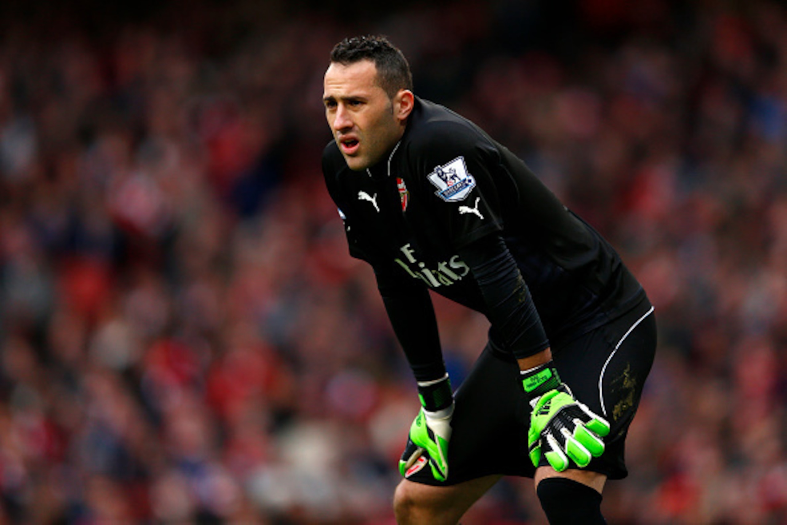 LONDON, ENGLAND - JANUARY 11: David Ospina of Arsenal in action during the Barclays Premier League match between Arsenal and Stoke City at Emirates Stadium on January 11, 2015 in London, England. (Photo by Julian Finney/Getty Images) LONDON, ENGLAND - JANUARY 11: David Ospina of Arsenal in action during the Barclays Premier League match between Arsenal and Stoke City at Emirates Stadium on January 11, 2015 in London, England. (Photo by Julian Finney/Getty Images)