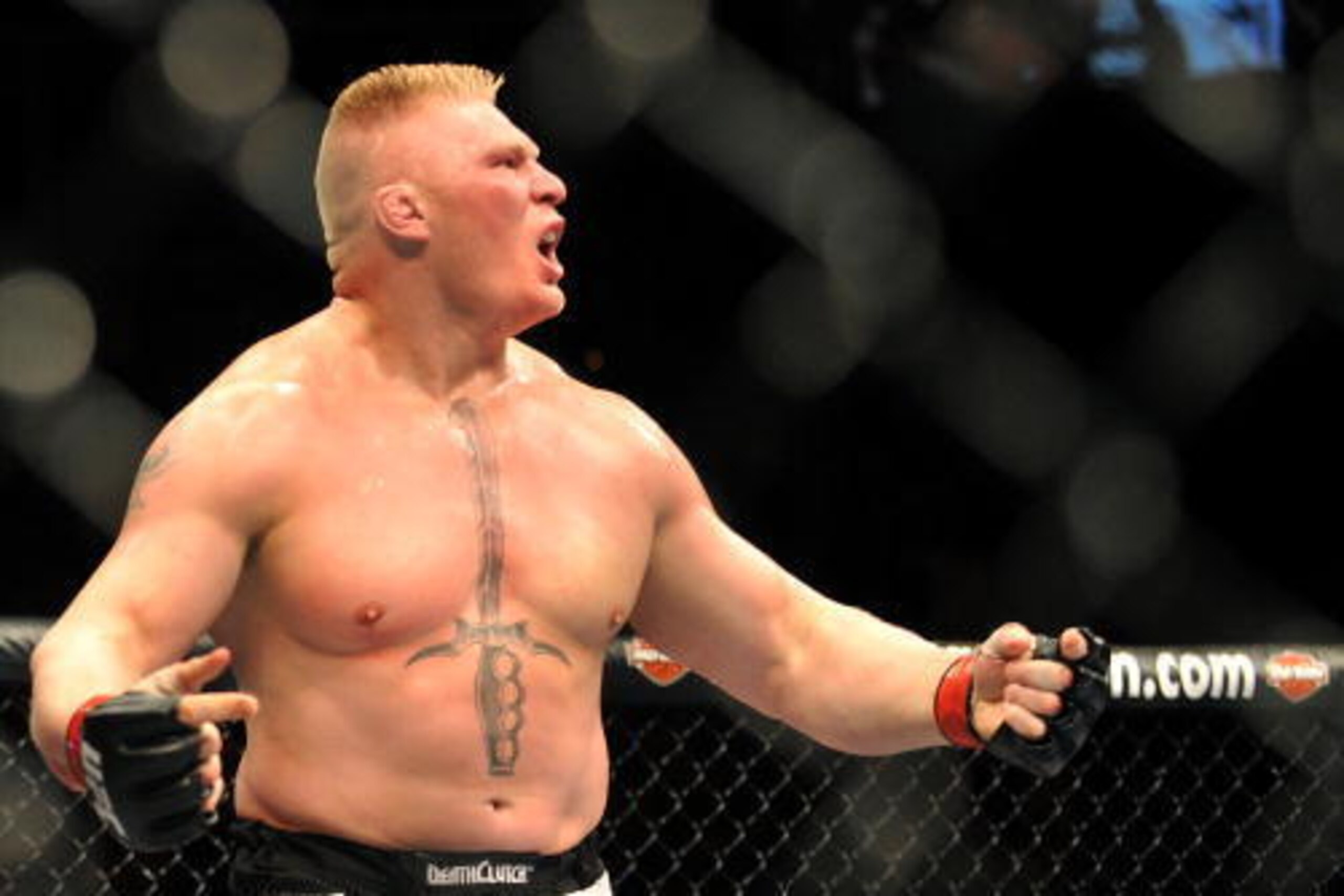 LAS VEGAS - JULY 11: Brock Lesnar reacts after knocking out Frank Mir during their heavyweight title bout during UFC 100 on July 11, 2009 in Las Vegas, Nevada. (Photo by Jon Kopaloff/Getty Images) LAS VEGAS - JULY 11: Brock Lesnar reacts after knocking out Frank Mir during their heavyweight title bout during UFC 100 on July 11, 2009 in Las Vegas, Nevada. (Photo by Jon Kopaloff/Getty Images)