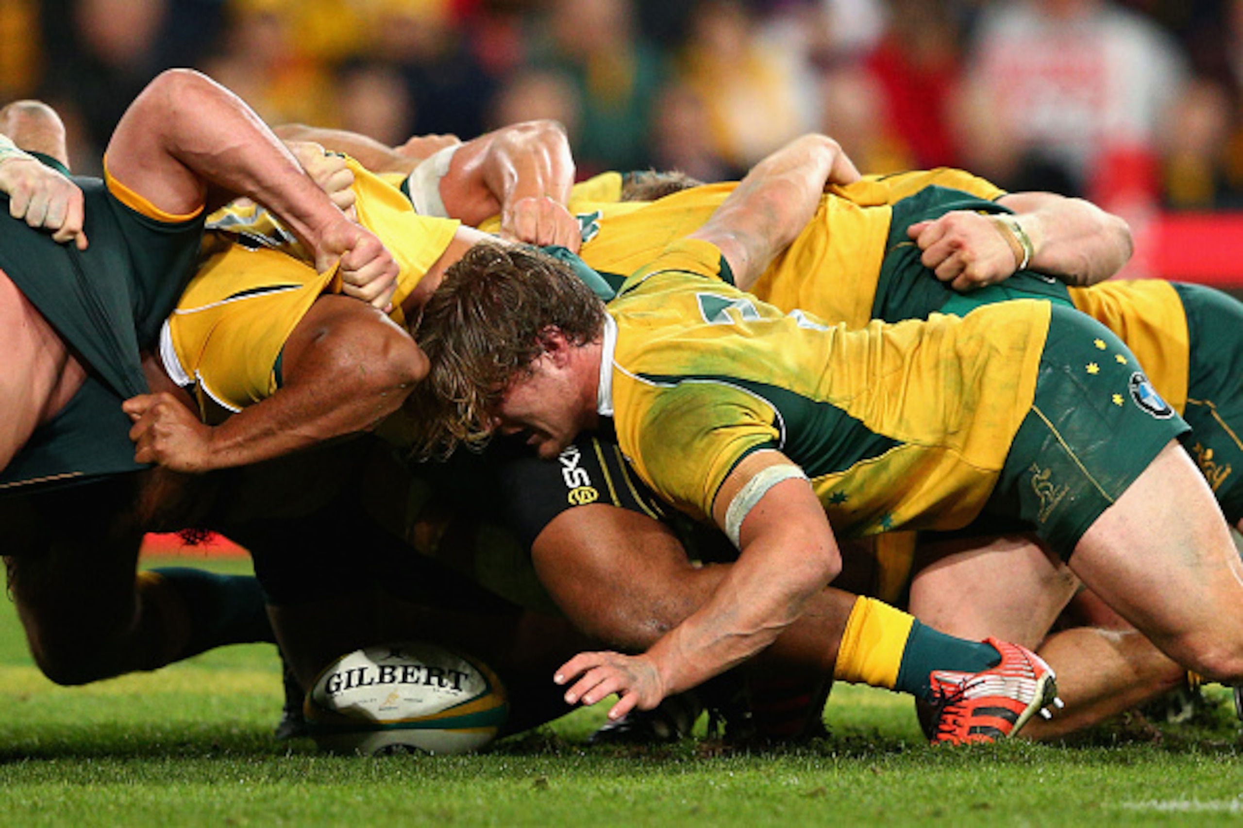 BRISBANE, AUSTRALIA - JULY 18: Michael Hooper of the Wallabies and team mates pack down a scrum during The Rugby Championship match between the Australian Wallabies and the South Africa Springboks at Suncorp Stadium on July 18, 2015 in Brisbane, Australia BRISBANE, AUSTRALIA - JULY 18: Michael Hooper of the Wallabies and team mates pack down a scrum during The Rugby Championship match between the Australian Wallabies and the South Africa Springboks at Suncorp Stadium on July 18, 2015 in Brisbane, Australia