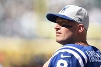 Sep 21, 2014; Jacksonville, FL, USA; Indianapolis Colts quarterback Matt Hasselbeck (8) watches from the sidelines against the Jacksonville Jaguars during the third quarter at EverBank Field. The Indianapolis Colts defeated the Jacksonville Jaguars 44-17.