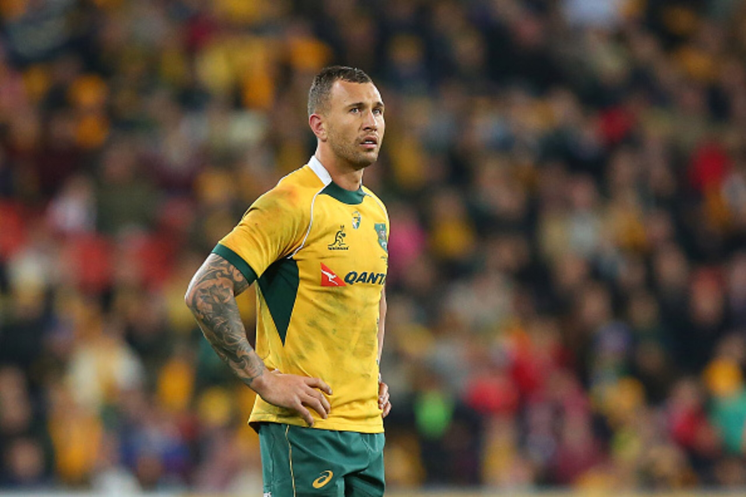 BRISBANE, AUSTRALIA - JULY 18:  Quade Cooper of the Wallabies looks on during The Rugby Championship match between the Australian Wallabies and the South Africa Springboks at Suncorp Stadium on July 18, 2015 in Brisbane, Australia.  (Photo by Chris Hyde/G
