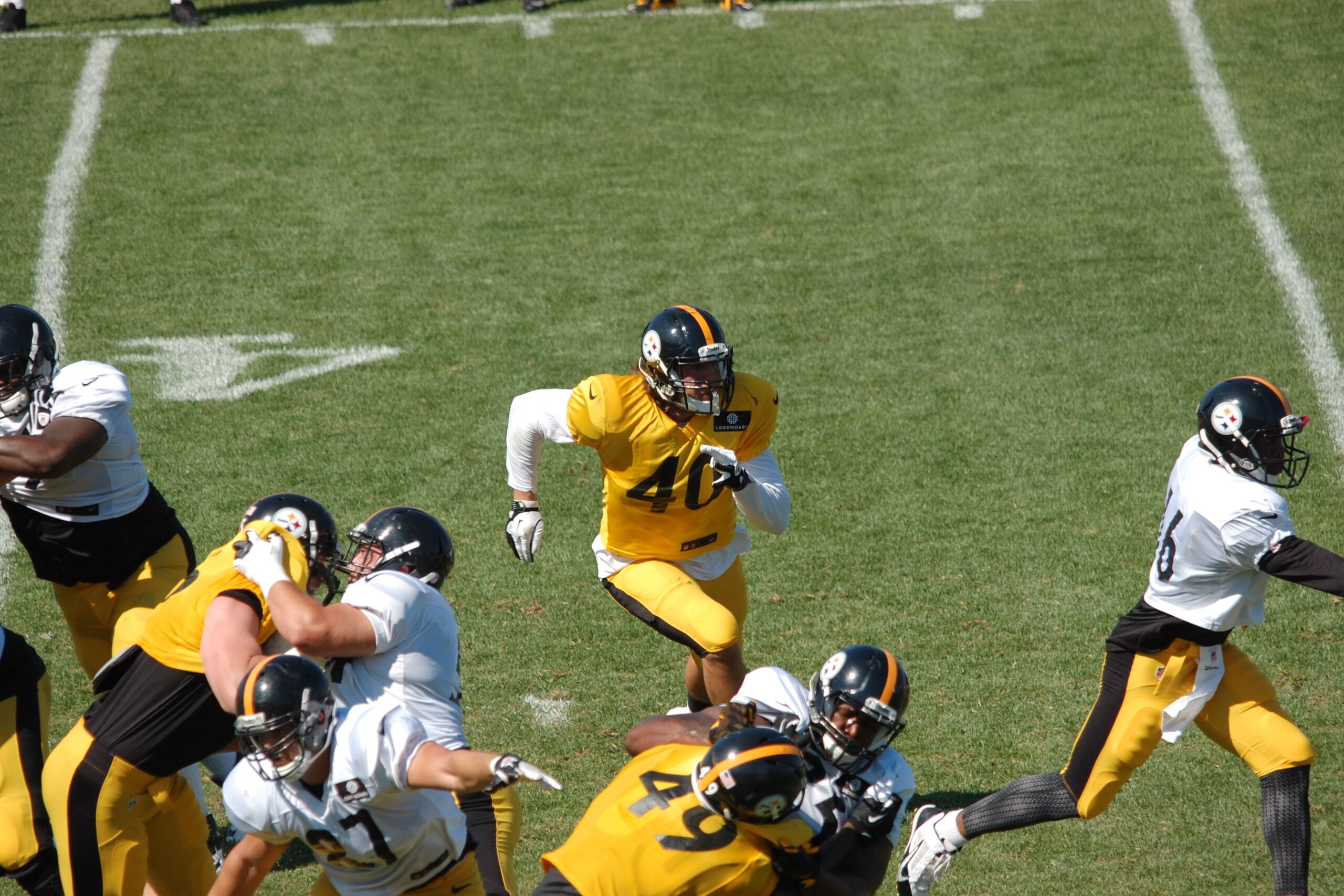 Anthony Chickillo (40) is an early candidate for camp phenom.