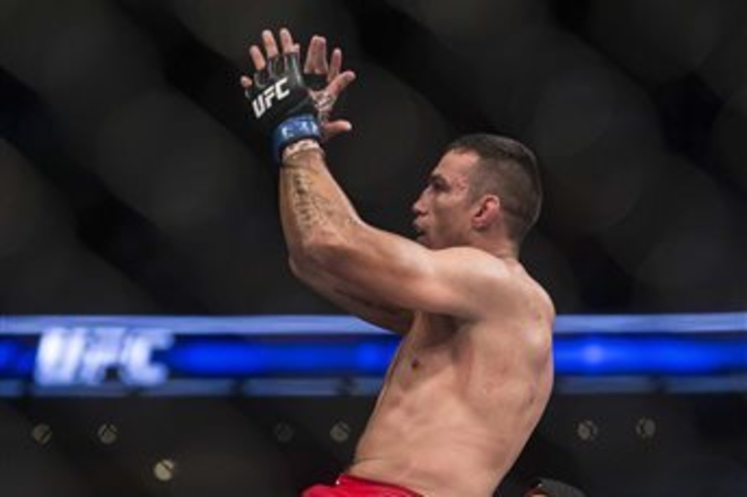 Fabricio Werdum
