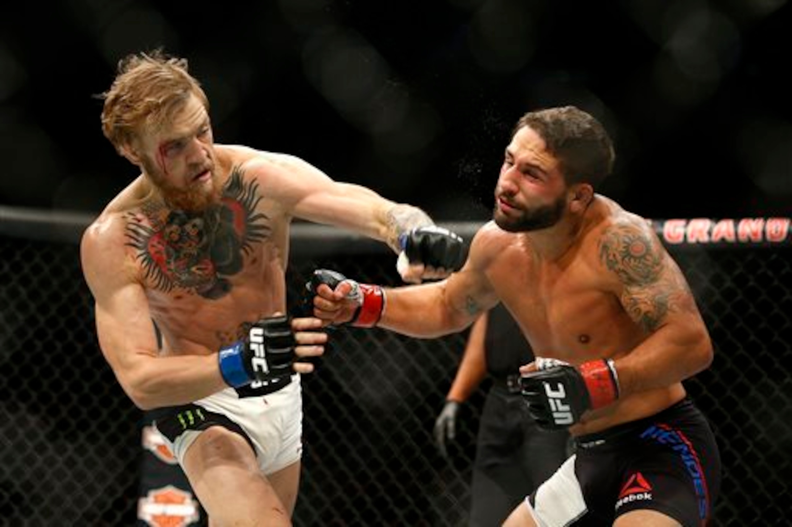 McGregor vs. Mendes at UFC 189.