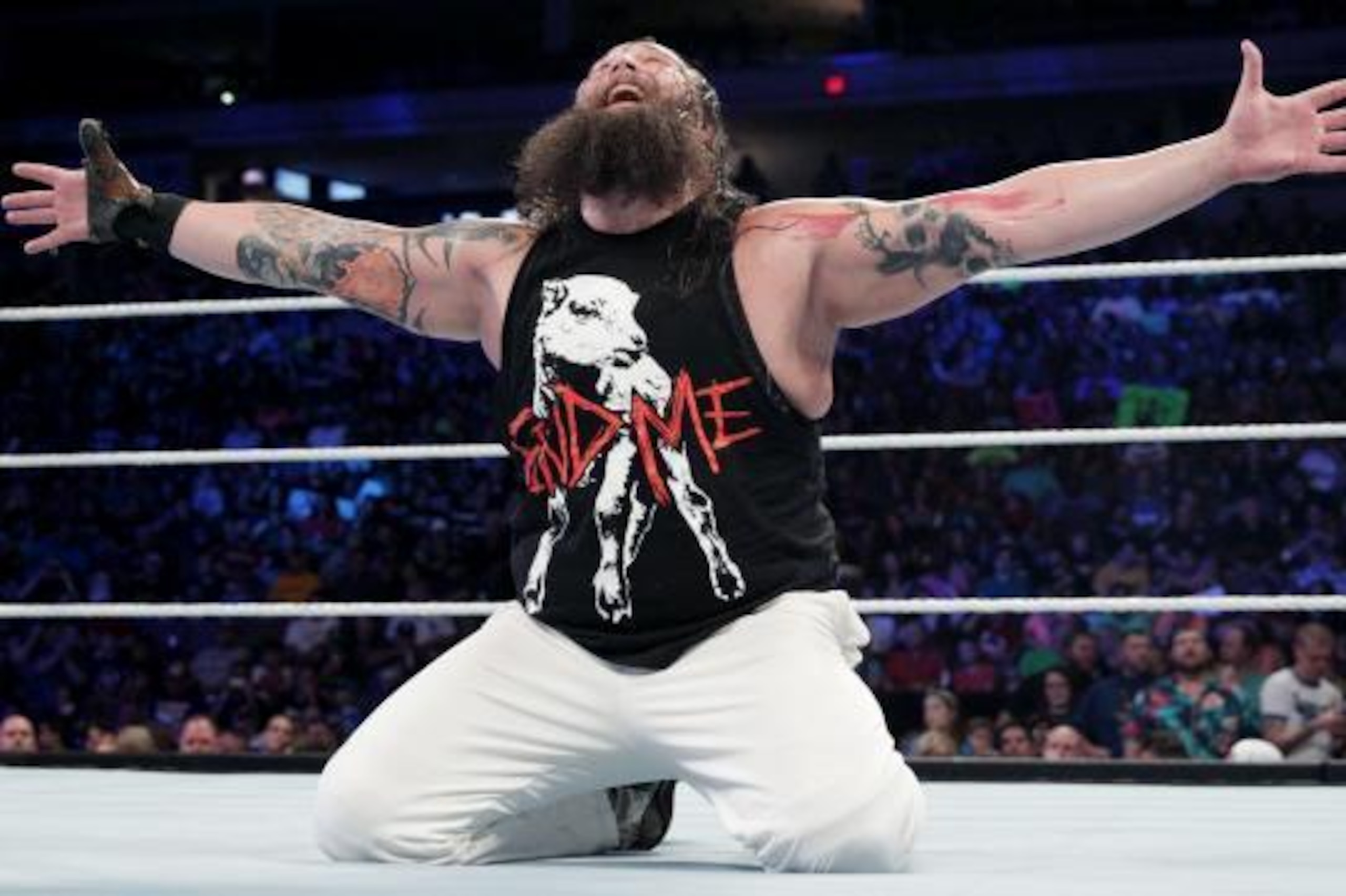 Bray Wyatt