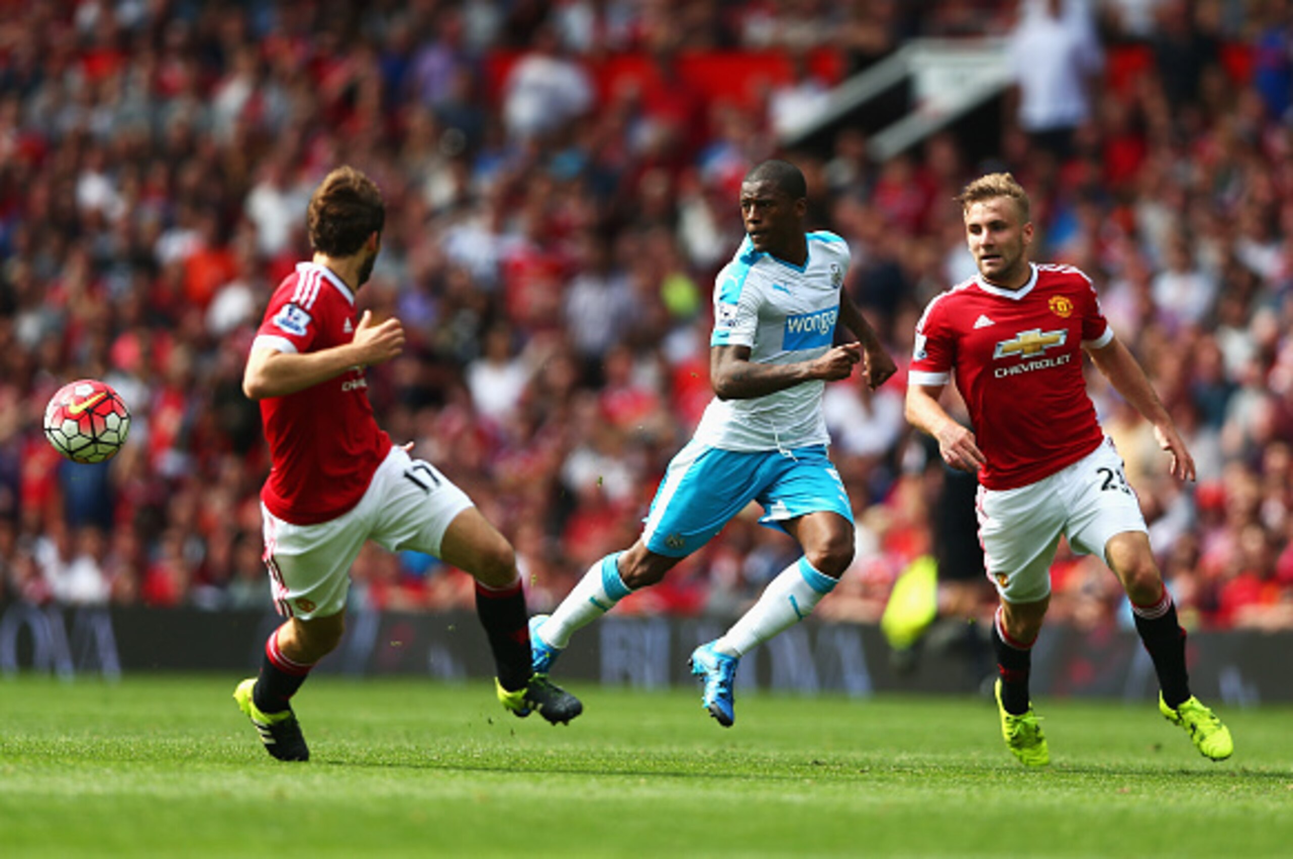 MANCHESTER, ENGLAND - AUGUST 22: Georginio Wijnaldum (C) of Newcastle United competes against Daley Blind (L) and Luke Shaw (R)of Manchester United  during the Barclays Premier League match between Manchester United and Newcastle United at Old Trafford on