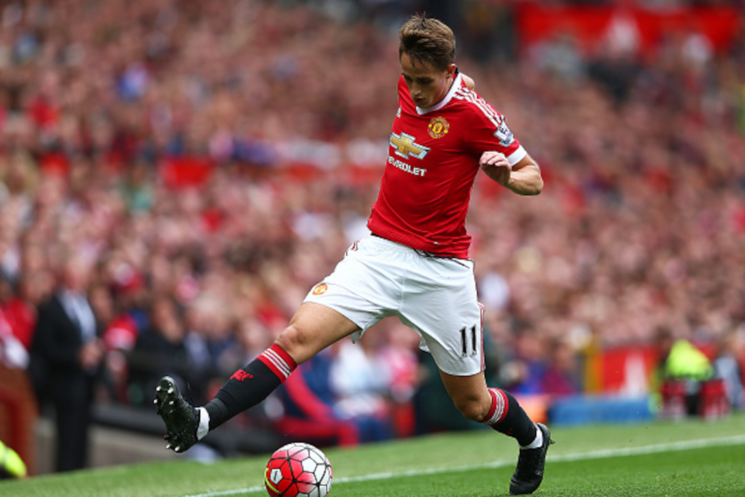 MANCHESTER, ENGLAND - AUGUST 22:  Adnan Januzaj of Manchester United in action during the Barclays Premier League match between Manchester United and Newcastle United at Old Trafford on August 22, 2015 in Manchester, United Kingdom.  (Photo by Clive Bruns