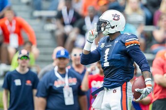 AUBURN, AL - APRIL 18: D'haquille Williams #1 of Auburn Tigers signals to the fans after scoring a touchdown during Auburn's A-Day game on April 18, 2015 at Jordan-Hare Stadium in Auburn, Alabama. (Photo by Michael Chang/Getty Images)