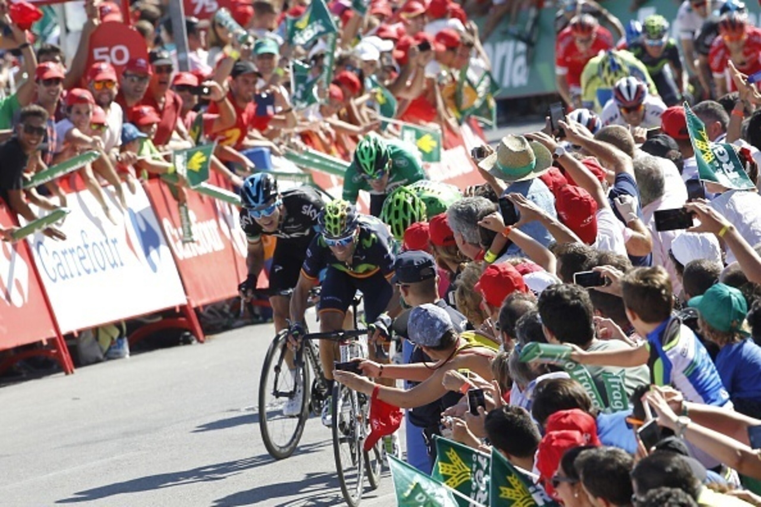 Movistar's Spanish cyclist Alejandro Valverde (C), ahead of Tinkoff-Saxo's Slovenian cyclist Peter Sagan, races to the finish line winning the fourth stage of the 2015 Vuelta Espana cycling tour, a 213,6 Km stage between Estepona and Vejer de la Frontera 