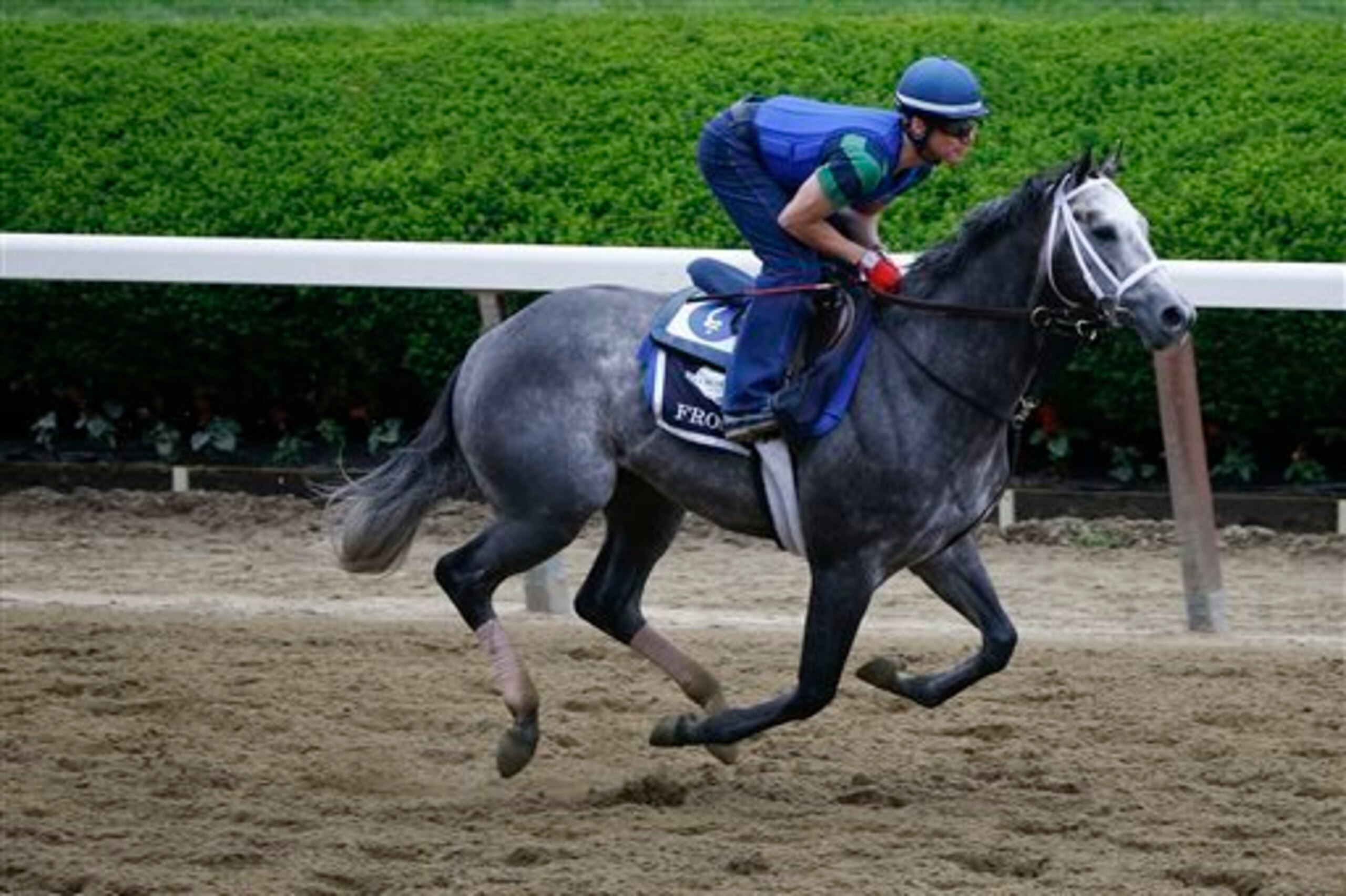 Could Frosted finally get over the hump and best his rival, American Pharoah?