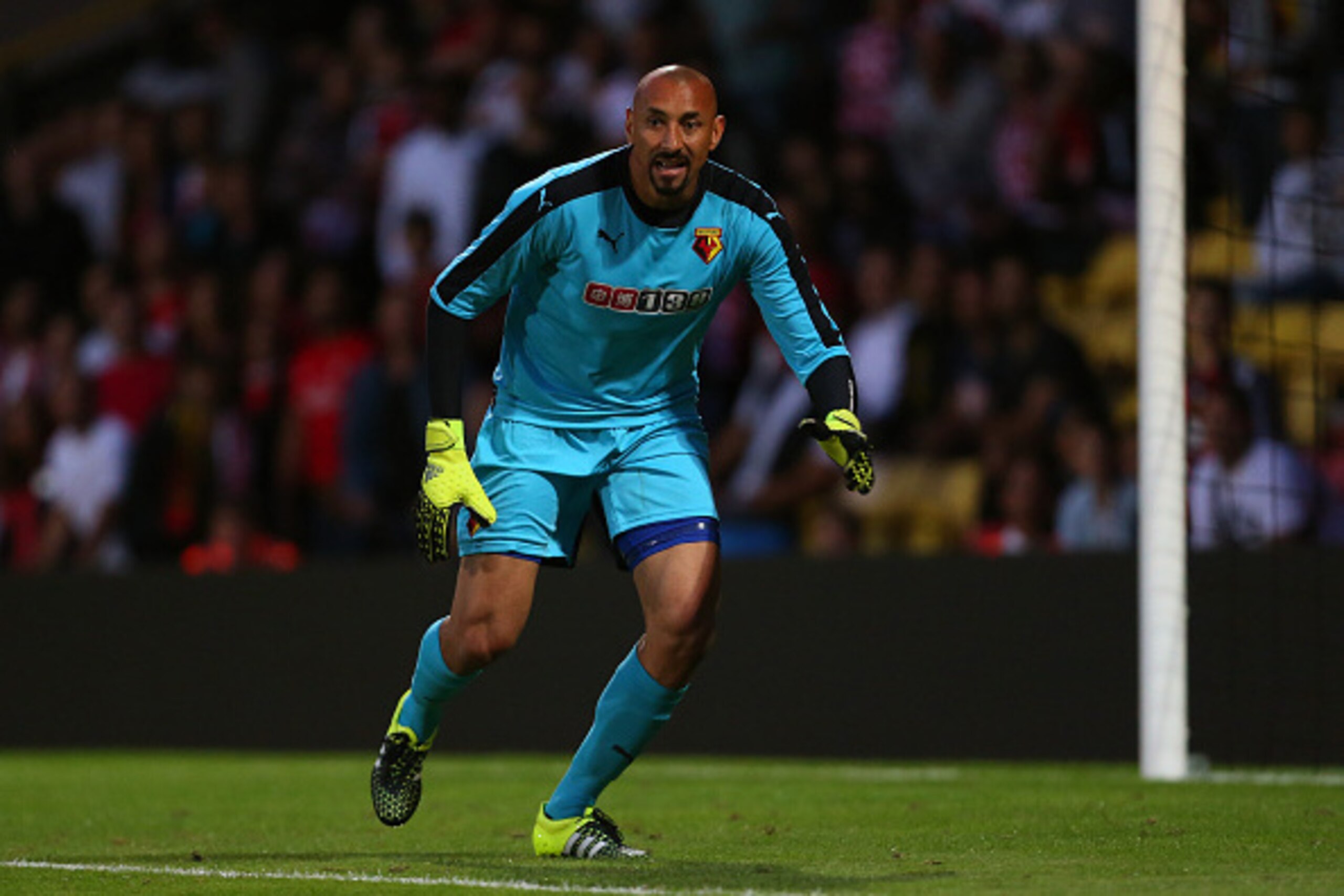 WATFORD, ENGLAND - JULY 31:  Heurelho Gomes of Watford during the pre-season friendly between Watford and Seville at Vicarage Road on July 31, 2015 in Watford, England.  (Photo by Catherine Ivill - AMA/Getty Images)