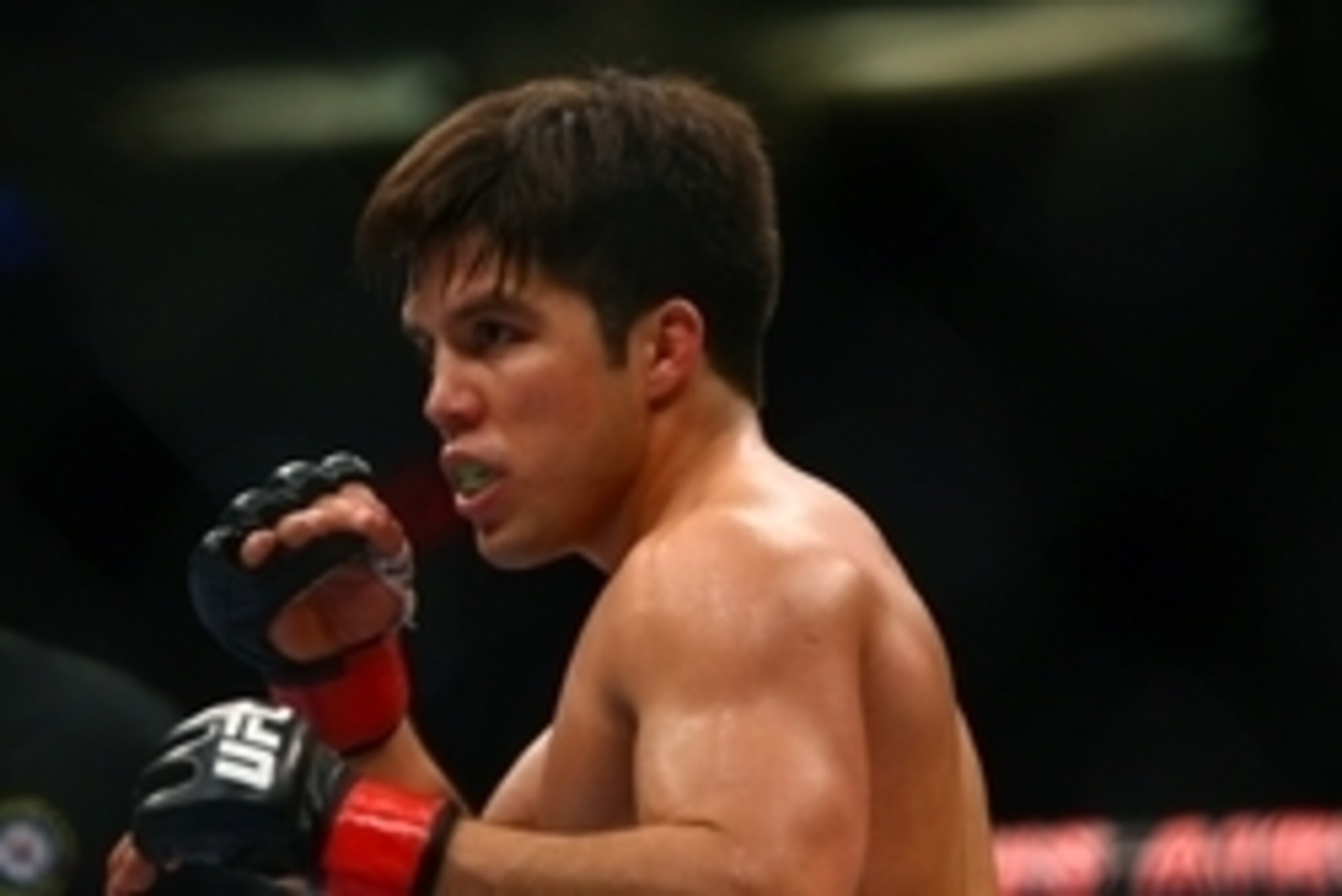 December 13, 2014; Phoenix, AZ, USA; Henry Cejudo fights during UFC Fight Night at US Airways Center. Mandatory Credit: Mark J. Rebilas-USA TODAY Sports