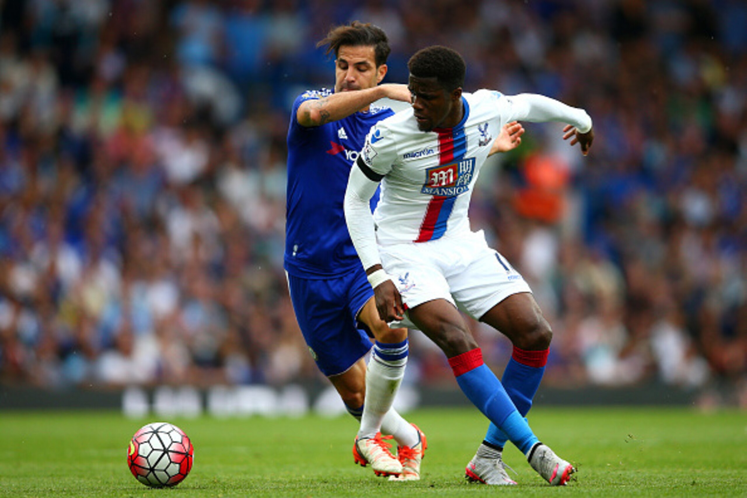 LONDON, ENGLAND - AUGUST 29: Wilfried Zaha of Crystal Palace and Sesc Fabregas of Chelsea compete for the ball during the Barclays Premier League match between Chelsea and Crystal Palace at Stamford Bridge on August 29, 2015 in London, England.  (Photo by