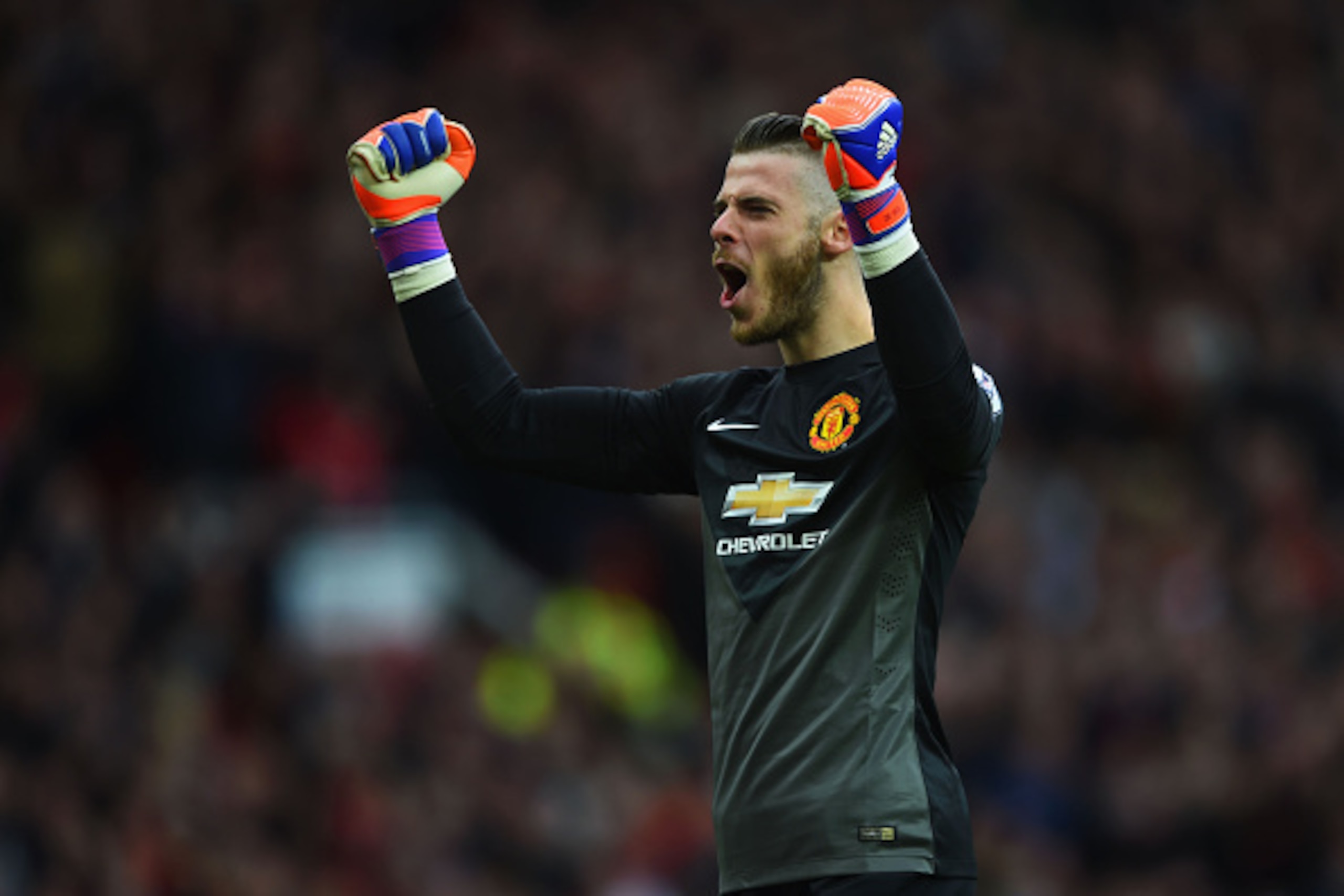 MANCHESTER, ENGLAND - MAY 17:  David De Gea of Manchester United celebrates as Ander Herrera scores their first goal during the Barclays Premier League match between Manchester United and Arsenal at Old Trafford on May 17, 2015 in Manchester, England.  (P
