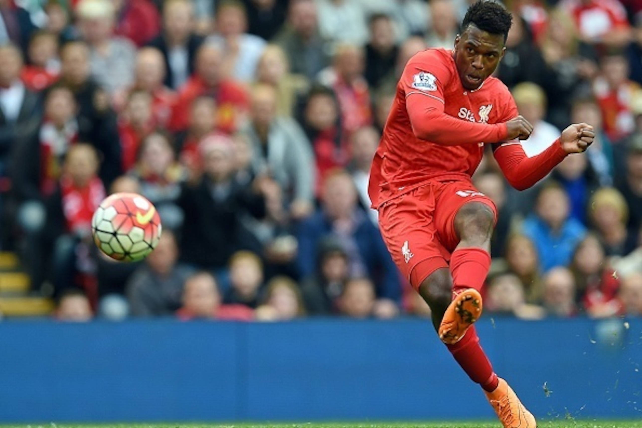 Liverpool's English striker Daniel Sturridge in action during the English Premier League football match between Liverpool and Norwich City at the Anfield stadium in Liverpool, north-west England on September 20, 2015. AFP PHOTO / PAUL ELLIS

RESTRICTED TO