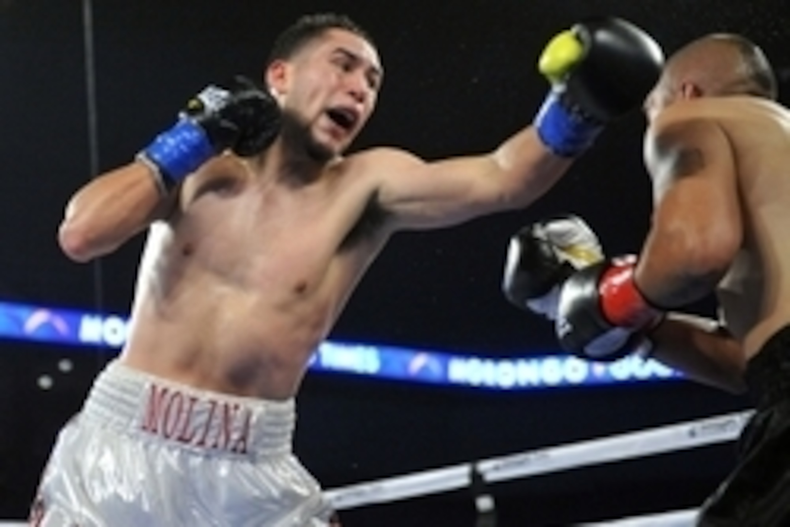November 16, 2013; Ontario, CA, USA;  Oscar Molina lands a punch against Carlos Sanchez at Citizens Business Bank Arena. Mandatory Credit: Gary A. Vasquez-USA TODAY Sports