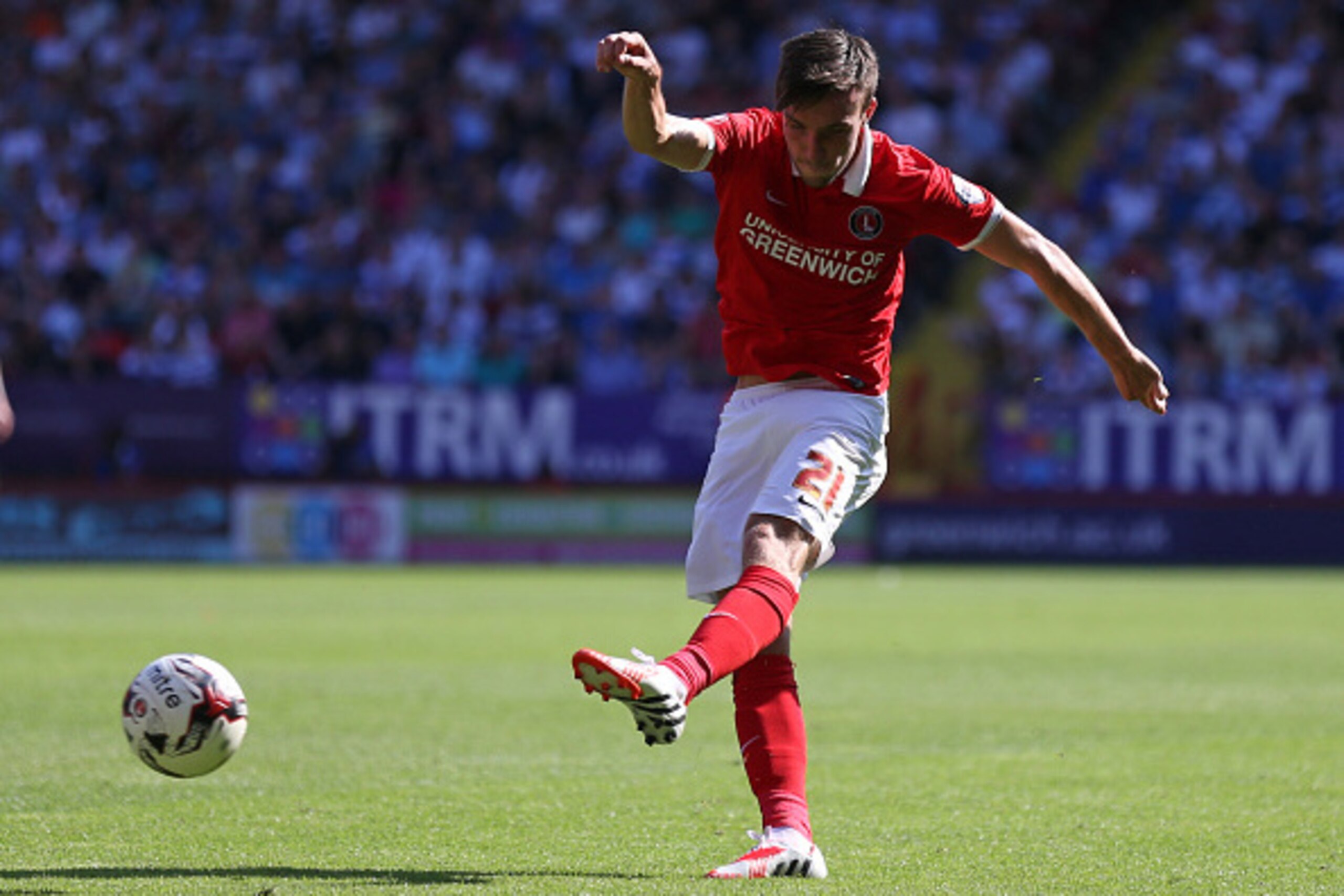 LONDON, ENGLAND - AUGUST 08: Morgan Fox of Charlton Athletic scores a goal during the Sky Bet Championship match between Charlton Athletic v Queens Park Rangers at The Valley on August 8, 2015 in London, England.  (Photo by Steve Bardens/Getty Images)