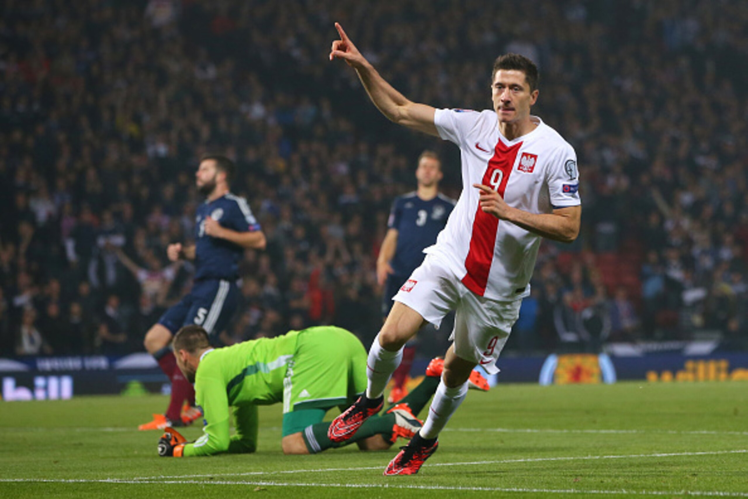 GLASGOW, SCOTLAND - OCTOBER 08: Robert Lewandowski of Poland celebrates after he scores during the UEFA EURO 2016 qualifier between Scotland and Poland at Hampden Park on October 08, 2015 in Glasgow, Scotland. (Photo by Ian MacNicol/Getty)