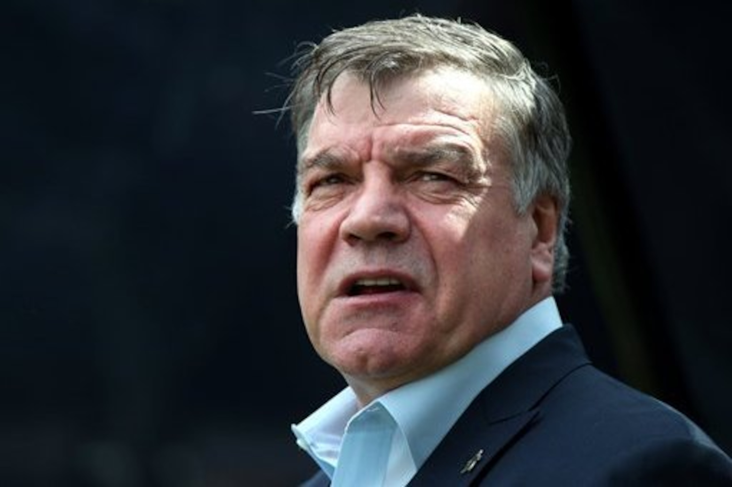 It might not be pretty, but ugly beautiful will do for Sunderland.