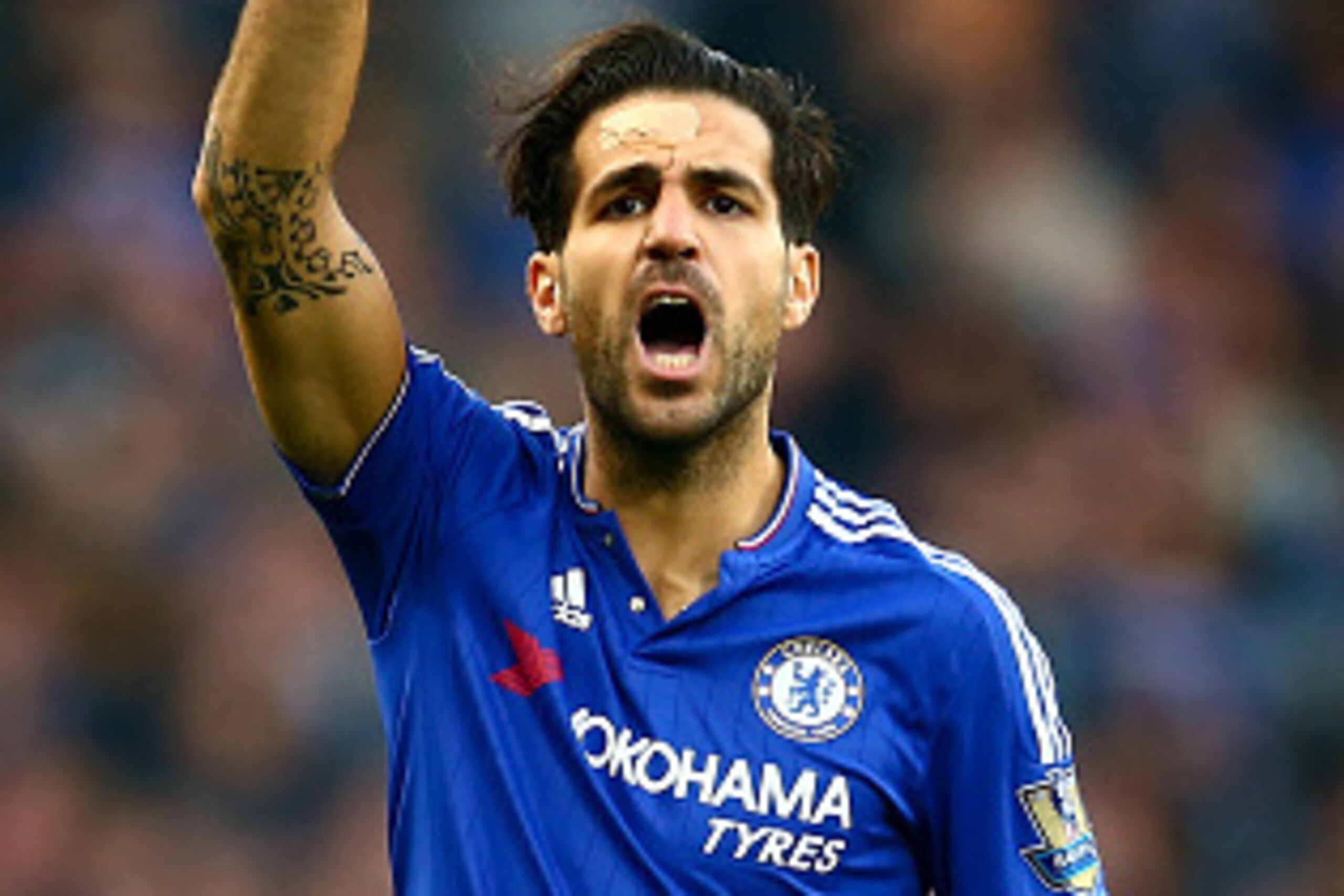 LONDON, ENGLAND - OCTOBER 03: Cesc Fabregas of Chelsea gestures during the Barclays Premier League match between Chelsea and Southampton at Stamford Bridge on October 3, 2015 in London, England. (Photo by Jordan Mansfield/Getty Images) LONDON, ENGLAND - OCTOBER 03: Cesc Fabregas of Chelsea gestures during the Barclays Premier League match between Chelsea and Southampton at Stamford Bridge on October 3, 2015 in London, England. (Photo by Jordan Mansfield/Getty Images)