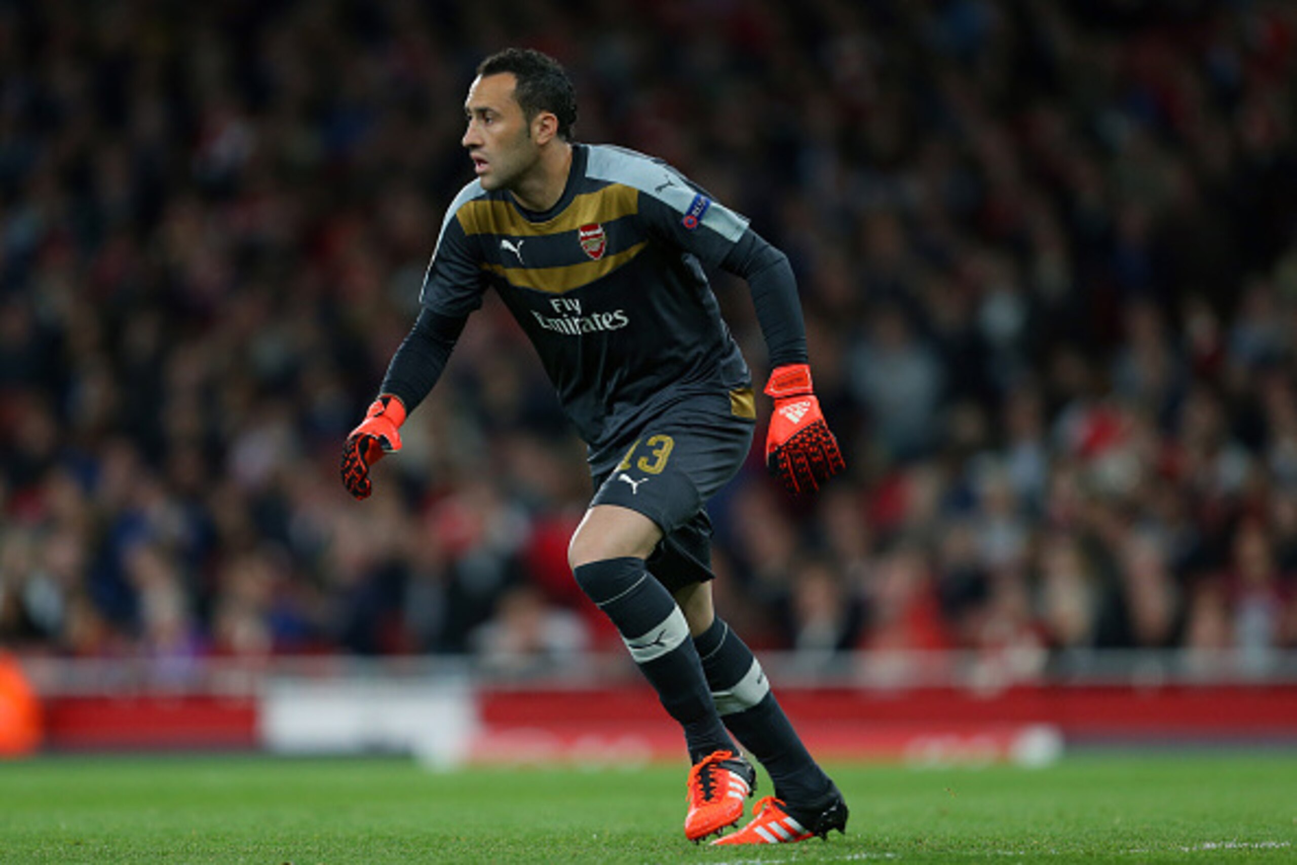 LONDON, ENGLAND - SEPTEMBER 29:  David Ospina of Arsenal during the UEFA Champions League match between Arsenal and Olympiacos at the Emirates Stadium on September 29, 2015 in London, United Kingdom.  (Photo by Catherine Ivill - AMA/Getty Images)