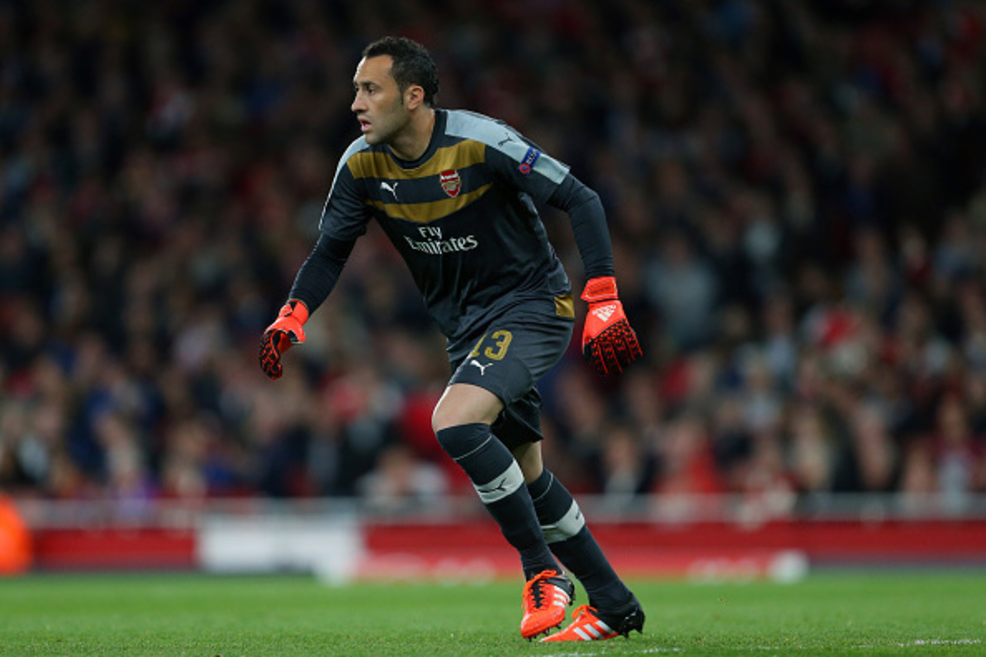LONDON, ENGLAND - SEPTEMBER 29: David Ospina of Arsenal during the UEFA Champions League match between Arsenal and Olympiacos at the Emirates Stadium on September 29, 2015 in London, United Kingdom. (Photo by Catherine Ivill - AMA/Getty Images) LONDON, ENGLAND - SEPTEMBER 29: David Ospina of Arsenal during the UEFA Champions League match between Arsenal and Olympiacos at the Emirates Stadium on September 29, 2015 in London, United Kingdom. (Photo by Catherine Ivill - AMA/Getty Images)