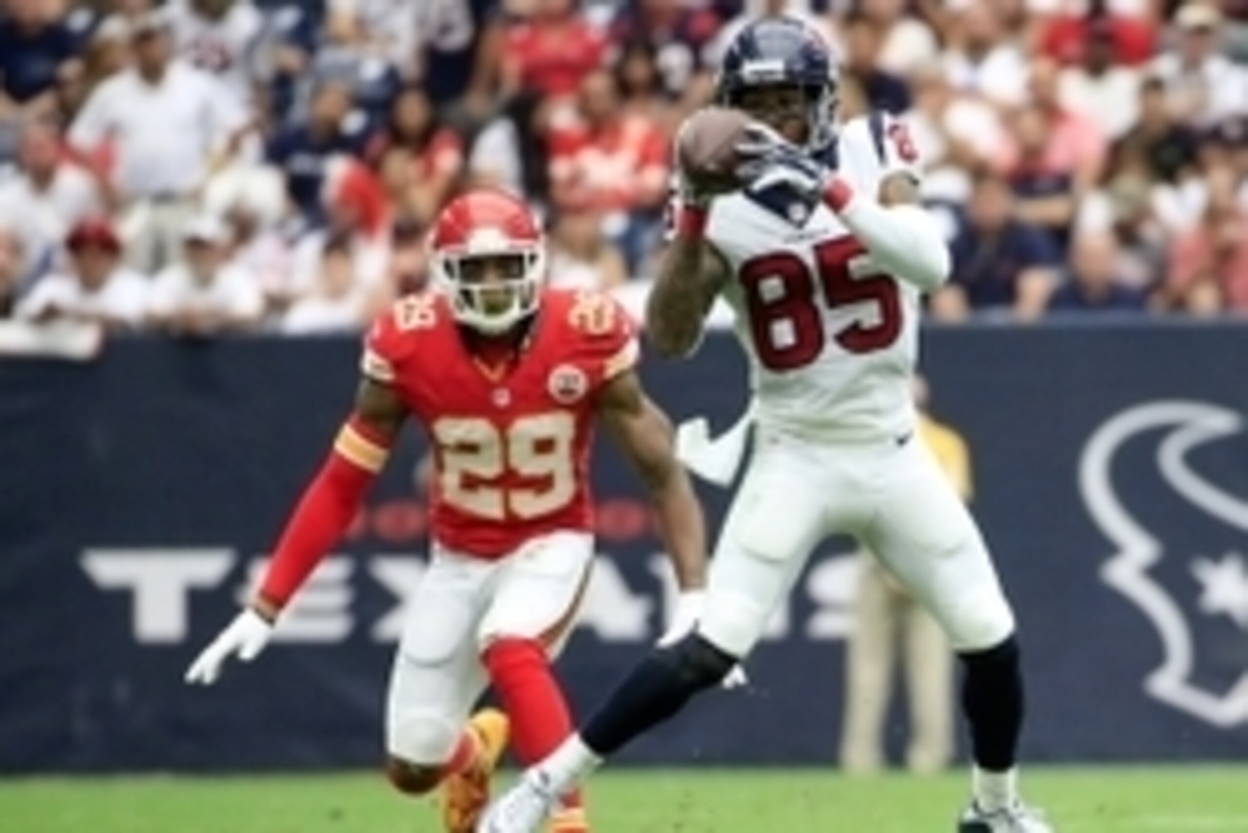 Sep 13, 2015; Houston, TX, USA; Houston Texans wide receiver Nate Washington (85) makes a catch as Kansas City Chiefs strong safety Eric Berry (29) defends during the first half at NRG Stadium. Mandatory Credit: Kevin Jairaj-USA TODAY Sports