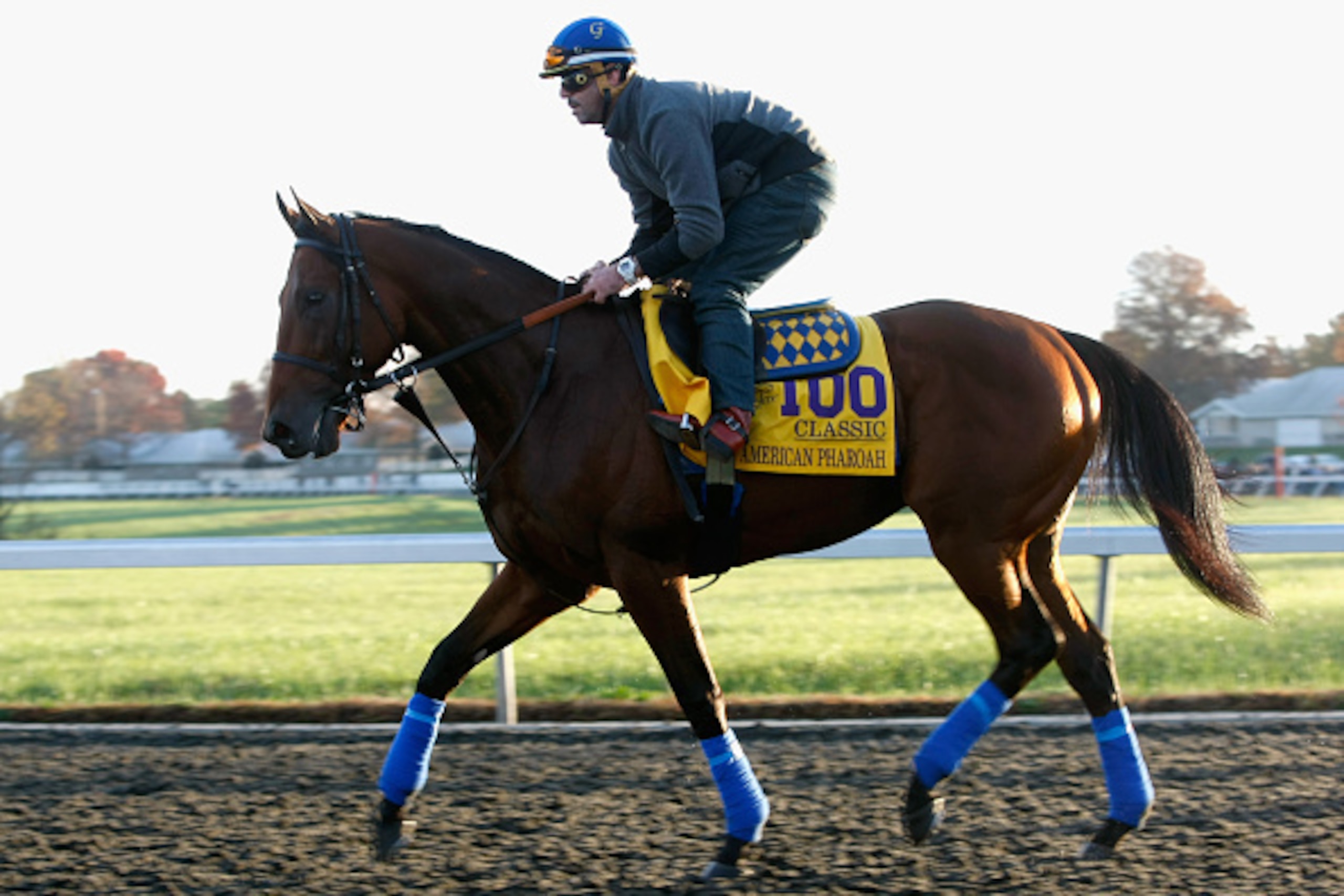 LEXINGTON, KY - OCTOBER 29: Exercise rider Georgie Alvarez takes Triple Crown winner American Pharoah over the track in preparation for the Breeders' Cup Classic at Keeneland Racecourse on October 29, 2015 in Lexington, Kentucky. (Photo by Michael Reave LEXINGTON, KY - OCTOBER 29: Exercise rider Georgie Alvarez takes Triple Crown winner American Pharoah over the track in preparation for the Breeders' Cup Classic at Keeneland Racecourse on October 29, 2015 in Lexington, Kentucky. (Photo by Michael Reave