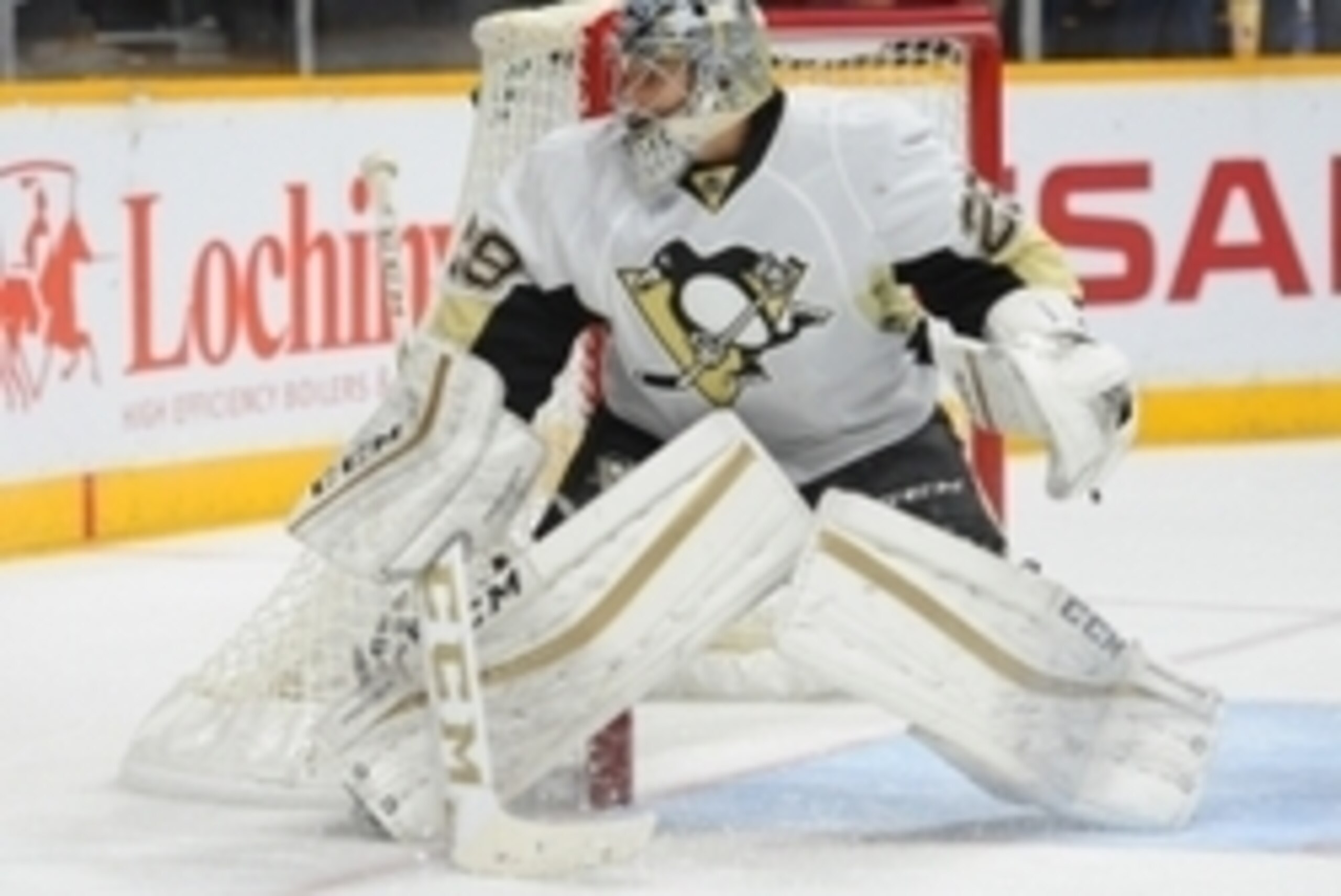 Oct 24, 2015; Nashville, TN, USA; Pittsburgh Penguins goalie Marc-Andre Fleury (29) during the first period against the Nashville Predators at Bridgestone Arena. Mandatory Credit: Christopher Hanewinckel-USA TODAY Sports