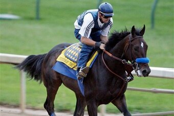 That may look a bit like Pharoah, but it's actually his father, Pioneerof the Nile