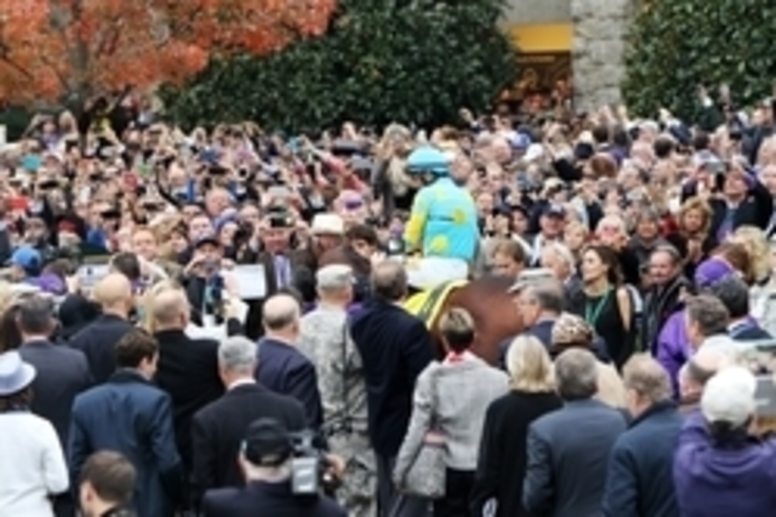 Oct 31, 2015; Lexington, KY, USA;  Victor Espinoza aboard American Pharoah is led from the paddock to the race track before race eleven of the 2015 Breeders Cup Championships at Keeneland. Mandatory Credit: Michael Adamucci-USA TODAY Sports