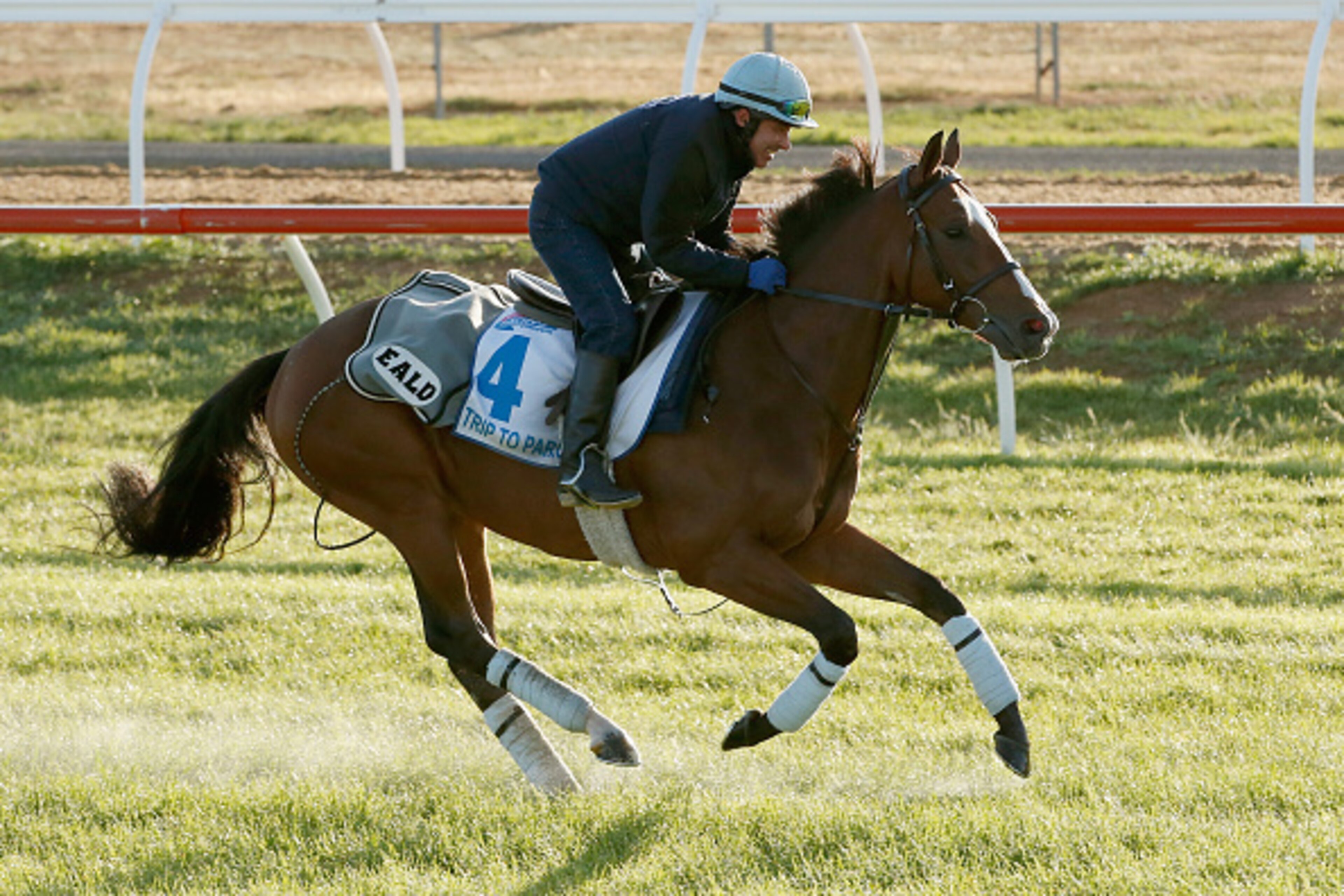 MELBOURNE, AUSTRALIA - OCTOBER 28:  The Ed Dunlop trained Trip to Paris  works during a trackwork session at Werribee Racecourse on October 28, 2015 in Melbourne, Australia.  (Photo by Darrian Traynor/Getty Images)