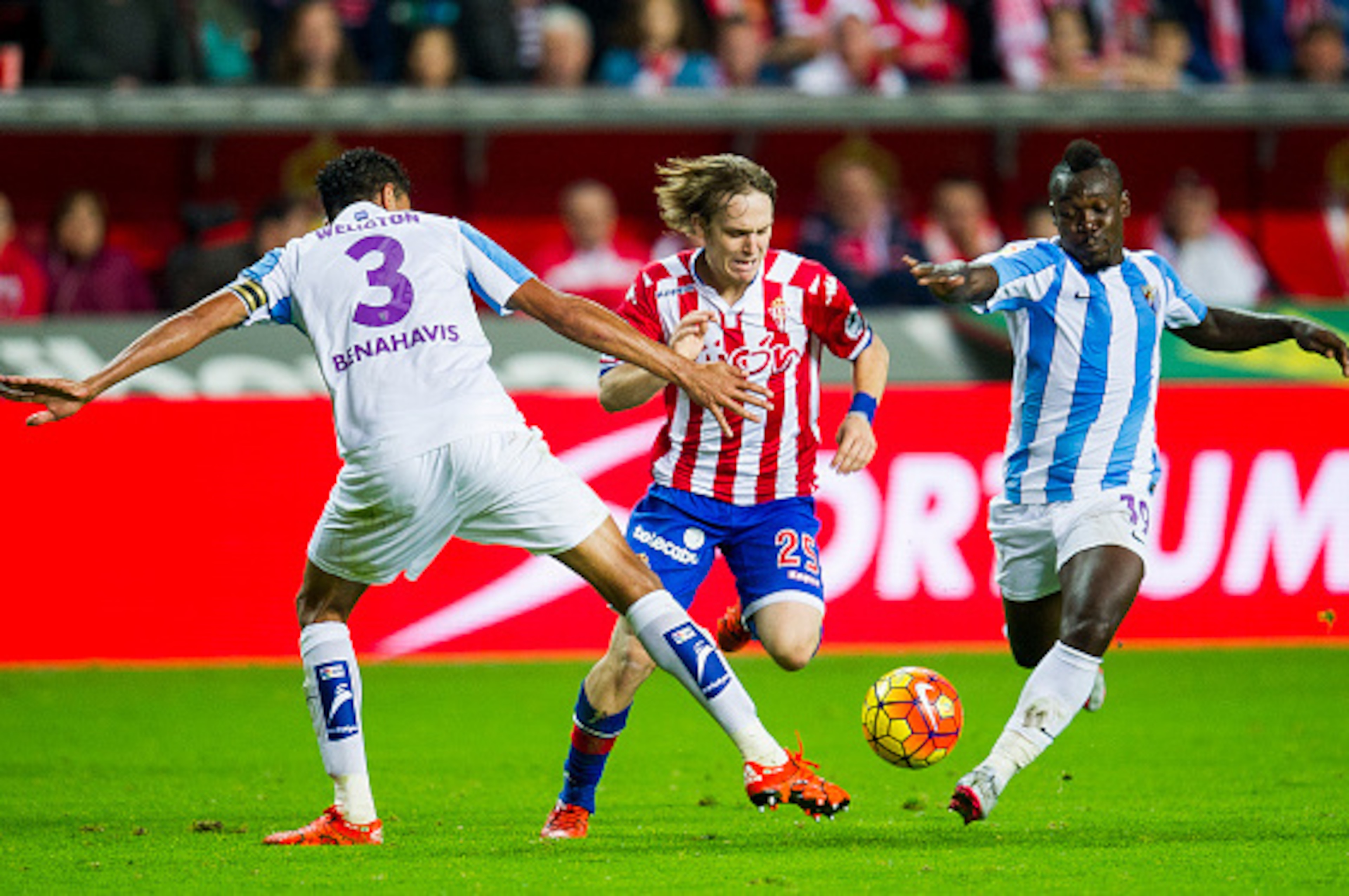 GIJON, SPAIN - NOVEMBER 01: Halilovic (C) of Real Sporting de Gijon duels for the ball with Weligton and Arthur Boka (R) of Malaga CF during the La Liga match between Real Sporting de Gijon and Malaga CF at Estadio El Molinon on November 1, 2015 in Gijon, GIJON, SPAIN - NOVEMBER 01: Halilovic (C) of Real Sporting de Gijon duels for the ball with Weligton and Arthur Boka (R) of Malaga CF during the La Liga match between Real Sporting de Gijon and Malaga CF at Estadio El Molinon on November 1, 2015 in Gijon,