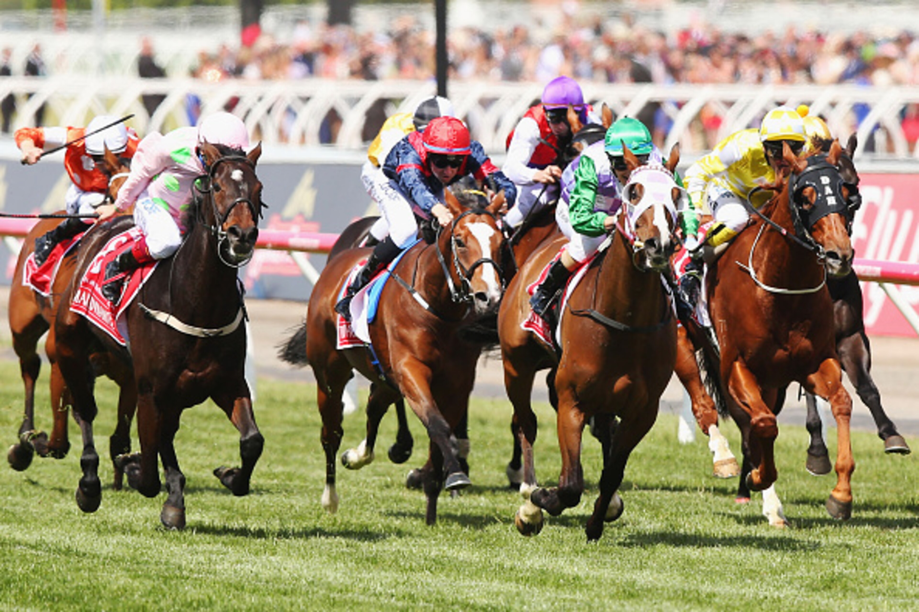 MELBOURNE, AUSTRALIA - NOVEMBER 03: Michelle Payne (green cap) riding Prince Of Penzance wins race 7 the Emirates Melbourne Cup on Melbourne Cup Day at Flemington Racecourse on November 3, 2015 in Melbourne, Australia. (Photo by Michael Dodge/Getty Imag MELBOURNE, AUSTRALIA - NOVEMBER 03: Michelle Payne (green cap) riding Prince Of Penzance wins race 7 the Emirates Melbourne Cup on Melbourne Cup Day at Flemington Racecourse on November 3, 2015 in Melbourne, Australia. (Photo by Michael Dodge/Getty Imag
