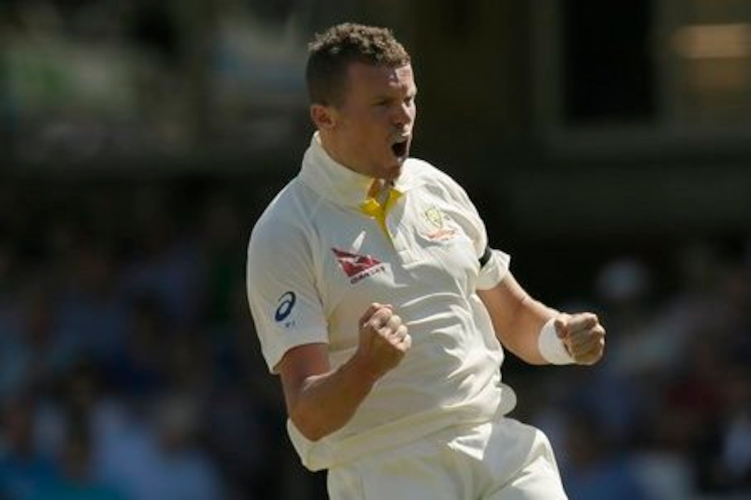 Peter Siddle played in the final Ashes Test.