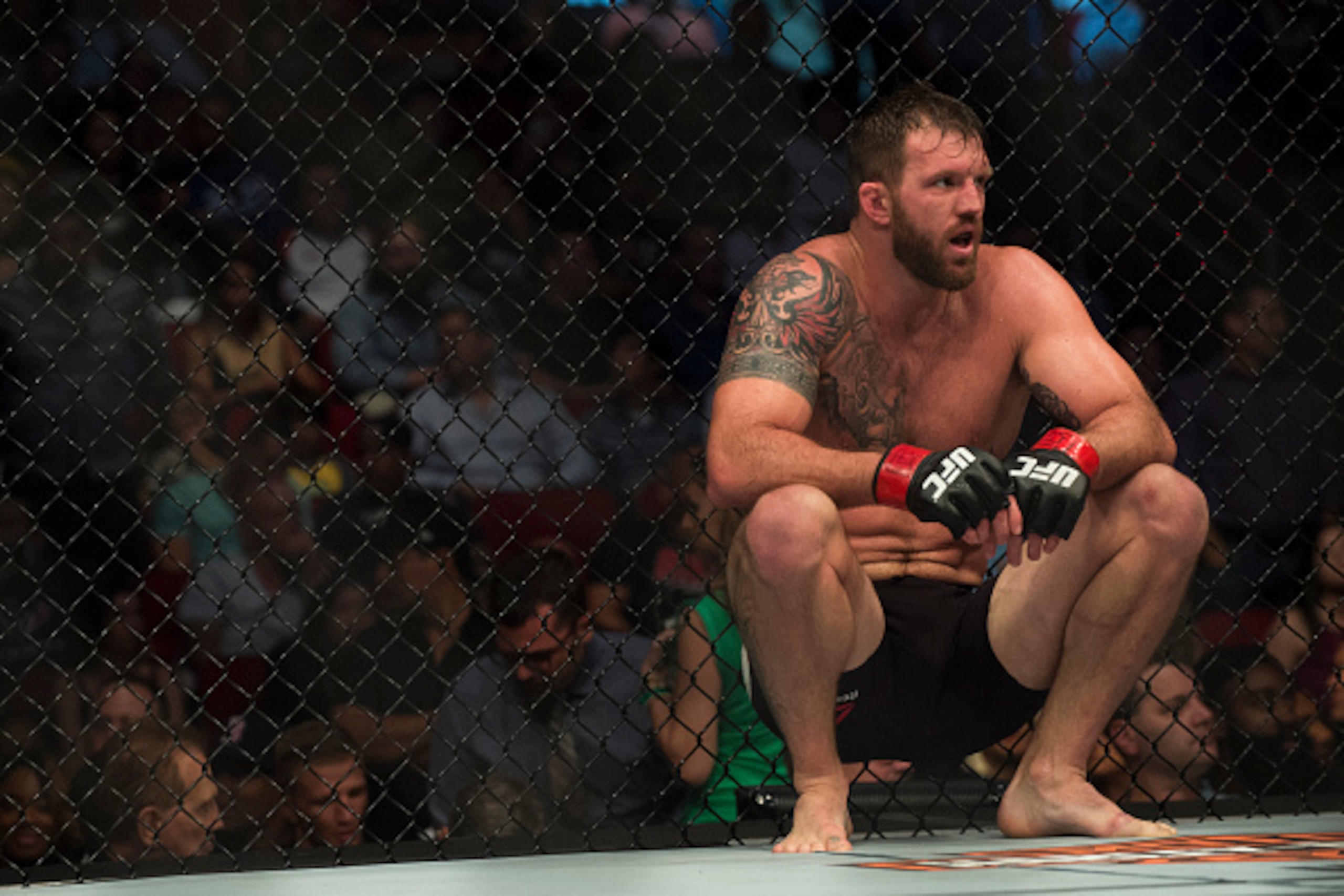HOUSTON, TX - OCTOBER 3:  Ryan Bader reacts to defeating Rashad Evans during UFC 192 at the Toyota Center on October 3, 2015 in Houston, Texas. (Photo by Cooper Neill/Zuffa LLC/Zuffa LLC via Getty Images)