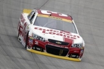 Oct 4, 2015; Dover, DE, USA; NASCAR Sprint Cup Series driver Ryan Newman (31) races during the AAA 400 at Dover International Speedway. Mandatory Credit: Matthew O'Haren-USA TODAY Sports