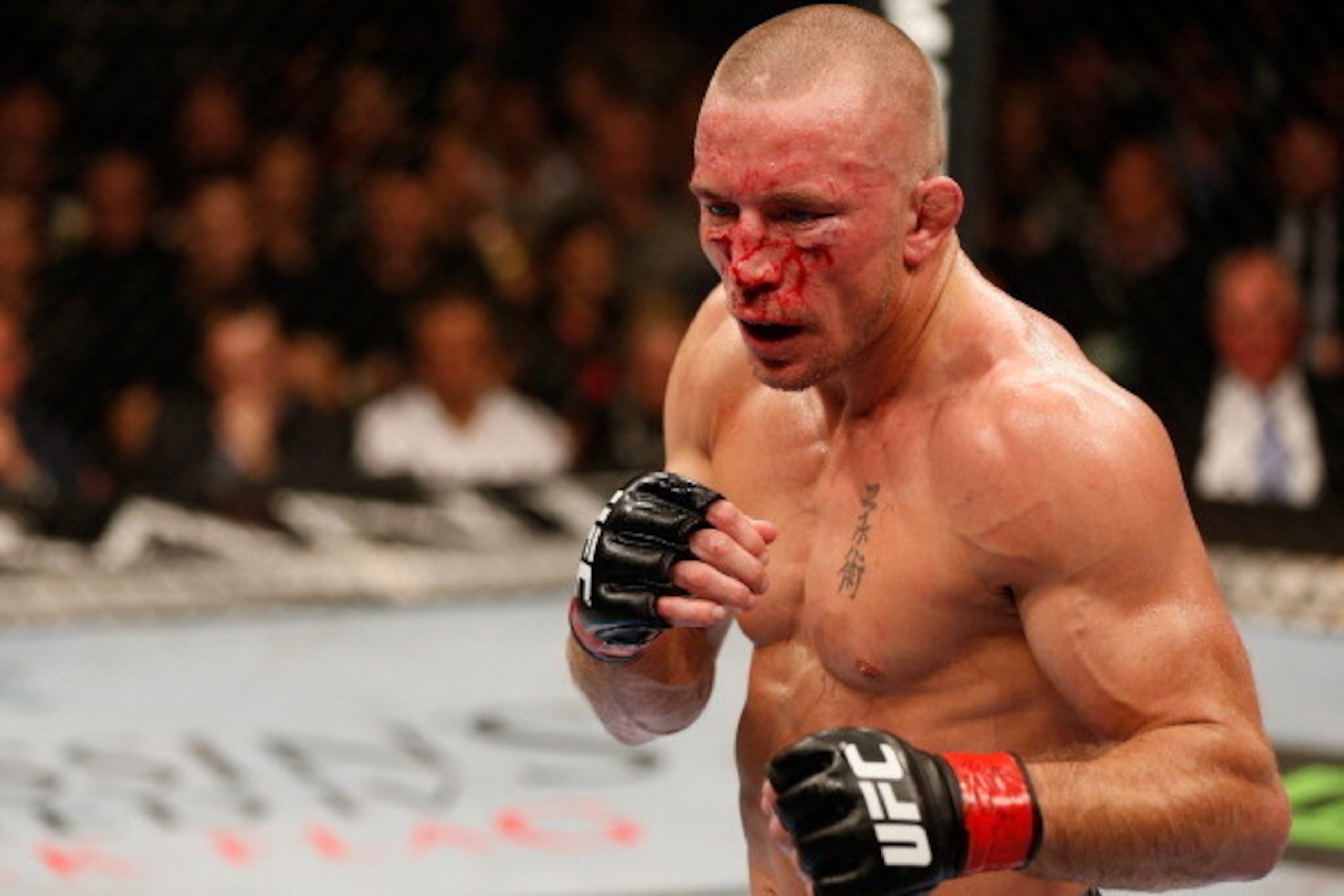 LAS VEGAS, NV - NOVEMBER 16:  Georges St-Pierre stands in the Octagon during his UFC welterweight championship bout against Johny Hendricks during the UFC 167 event inside the MGM Grand Garden Arena on November 16, 2013 in Las Vegas, Nevada. (Photo by Jos