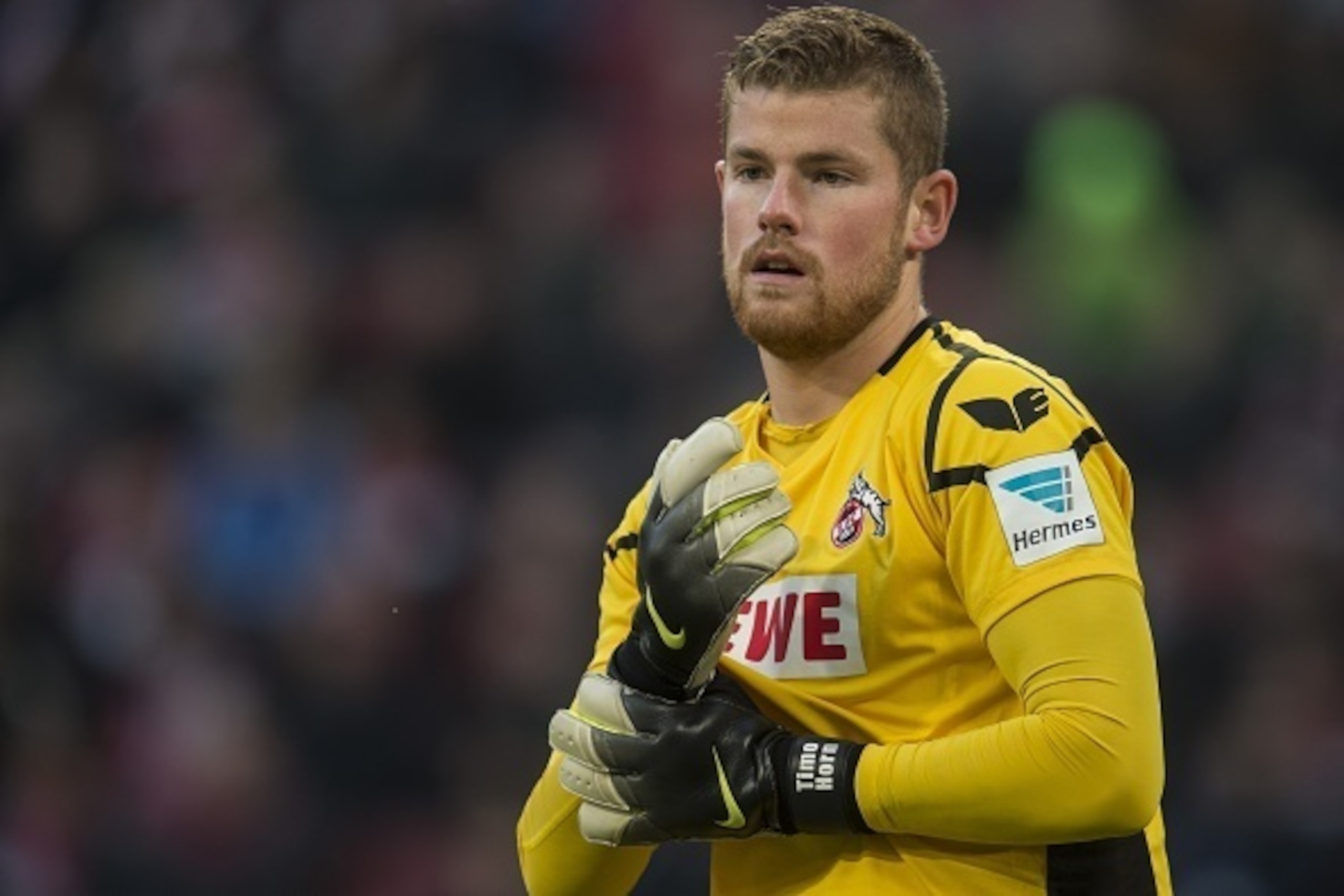 goalkeeper Timo Horn of 1.FC Koln during the Bundesliga match between 1.FC Köln and TSG 1899 Hoffenheim on October 31, 2015 at RheinEnergieStadion in Keulen, Germany.(Photo by VI Images via Getty Images) goalkeeper Timo Horn of 1.FC Koln during the Bundesliga match between 1.FC Köln and TSG 1899 Hoffenheim on October 31, 2015 at RheinEnergieStadion in Keulen, Germany.(Photo by VI Images via Getty Images)