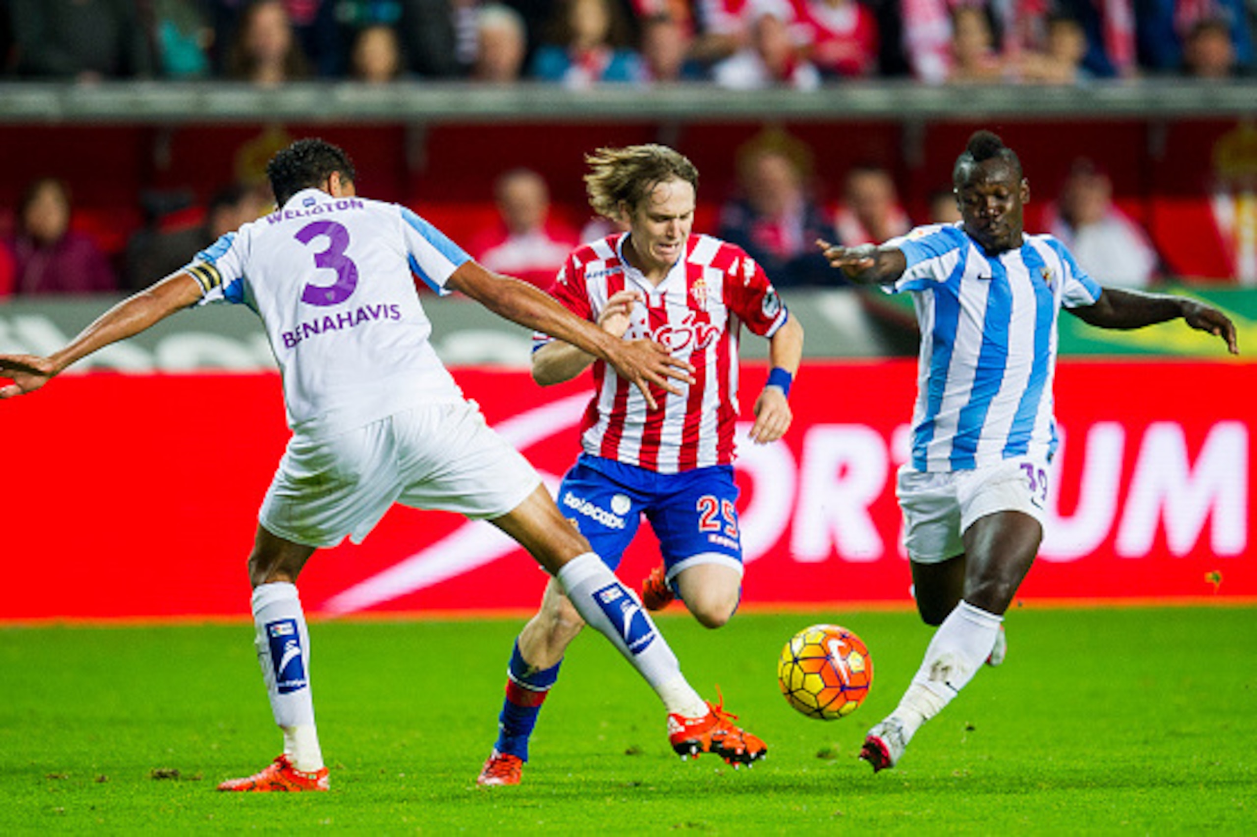 GIJON, SPAIN - NOVEMBER 01: Halilovic (C) of Real Sporting de Gijon duels for the ball with Weligton and Arthur Boka (R) of Malaga CF during the La Liga match between Real Sporting de Gijon and Malaga CF at Estadio El Molinon on November 1, 2015 in Gijon,