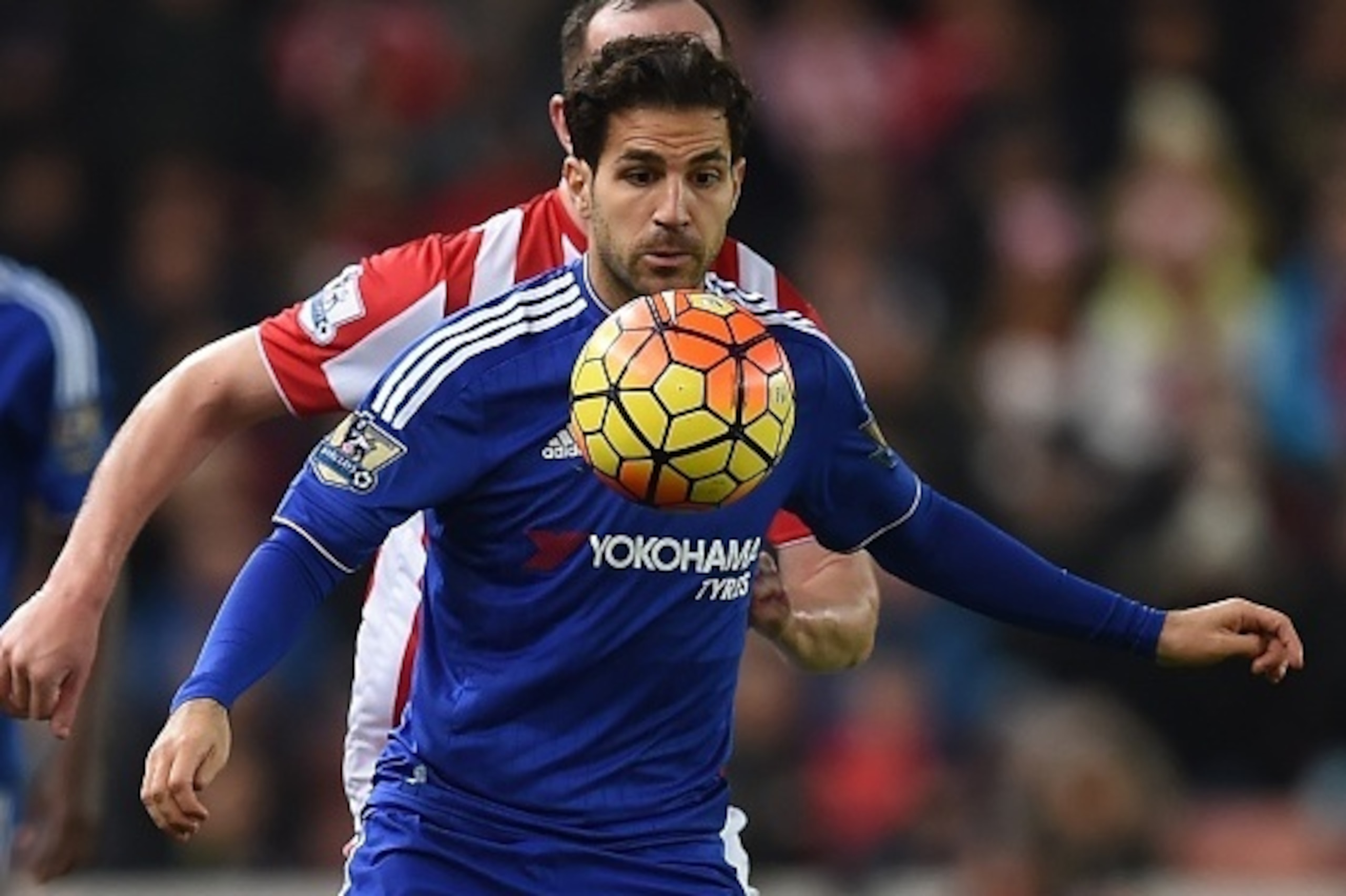 Chelsea's Spanish midfielder Cesc Fabregas controls the ball during the English Premier League football match between Stoke City and Chelsea at the Britannia Stadium in Stoke-on-Trent, central England on November 7, 2015. AFP PHOTO / PAUL ELLIS

RESTRICTE