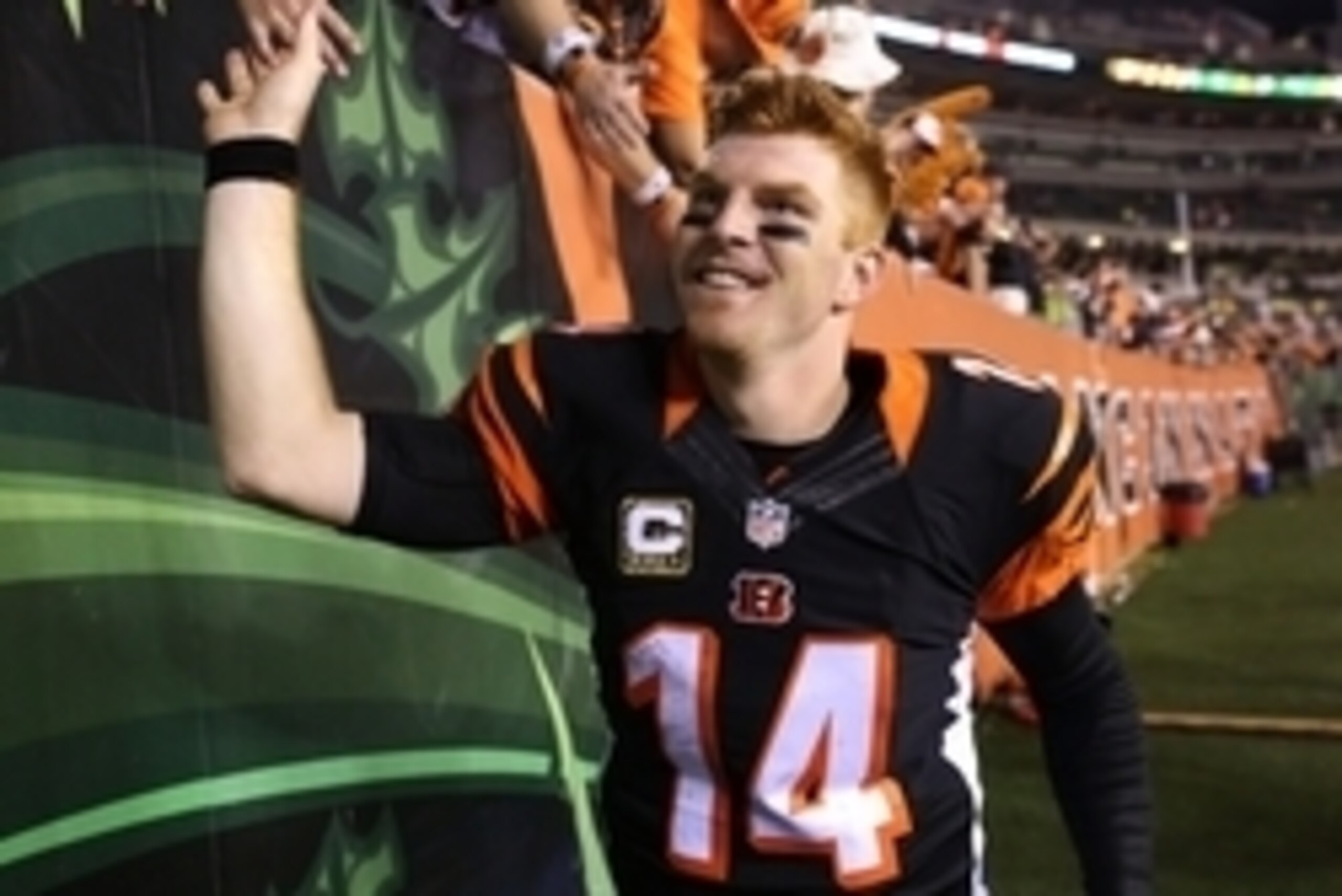 Nov 5, 2015; Cincinnati, OH, USA; Cincinnati Bengals quarterback Andy Dalton (14) against the Cleveland Browns at Paul Brown Stadium. The Bengals won 31-10. Mandatory Credit: Aaron Doster-USA TODAY Sports