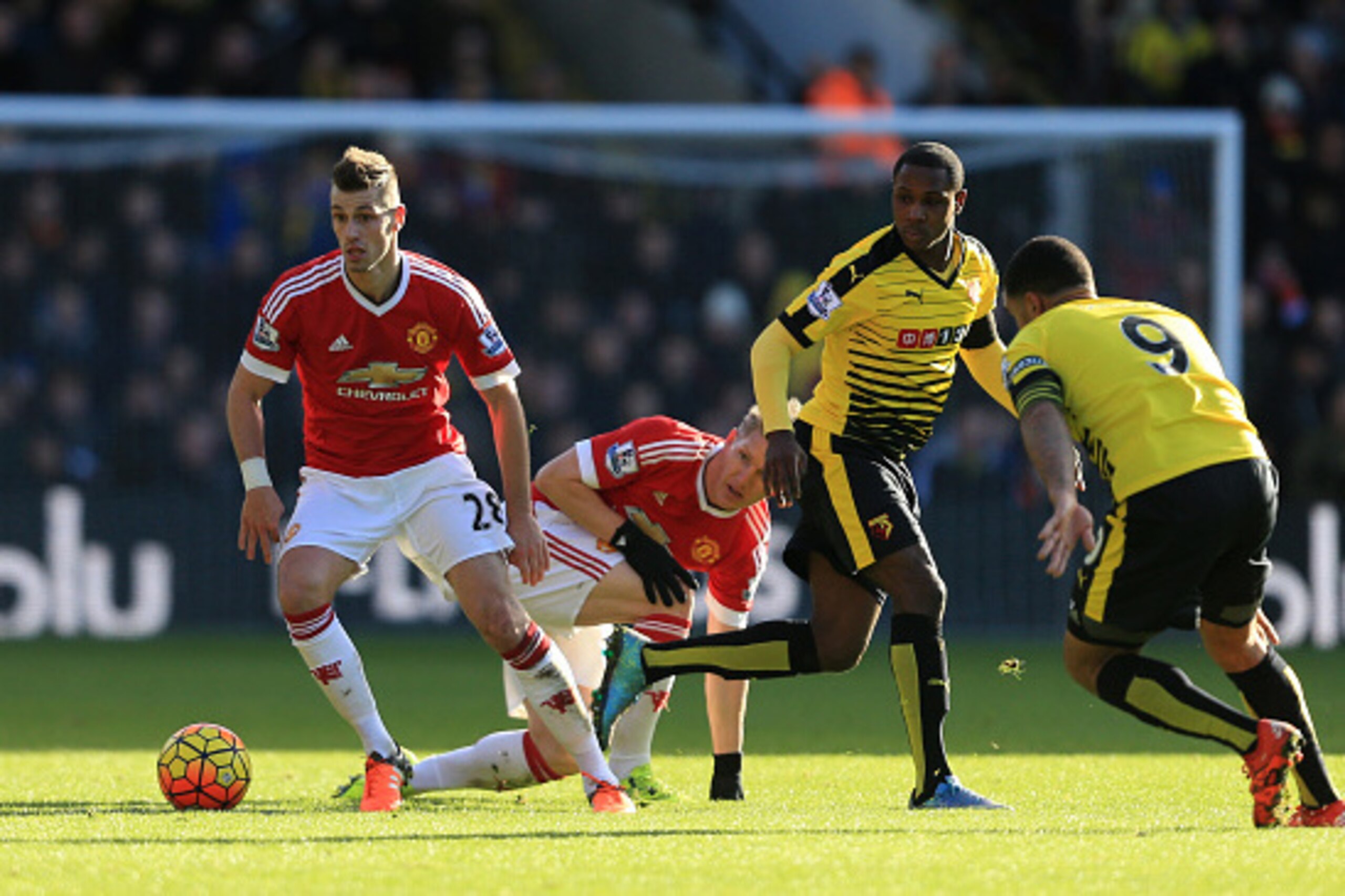 WATFORD, ENGLAND - NOVEMBER 21: Morgan Schneiderlin of Manchester United in action during the Barclays Premier League match between Watford and Manchester United at Vicarage Road on November 21, 2015 in Watford, England.  (Photo by Stephen Pond/Getty Imag