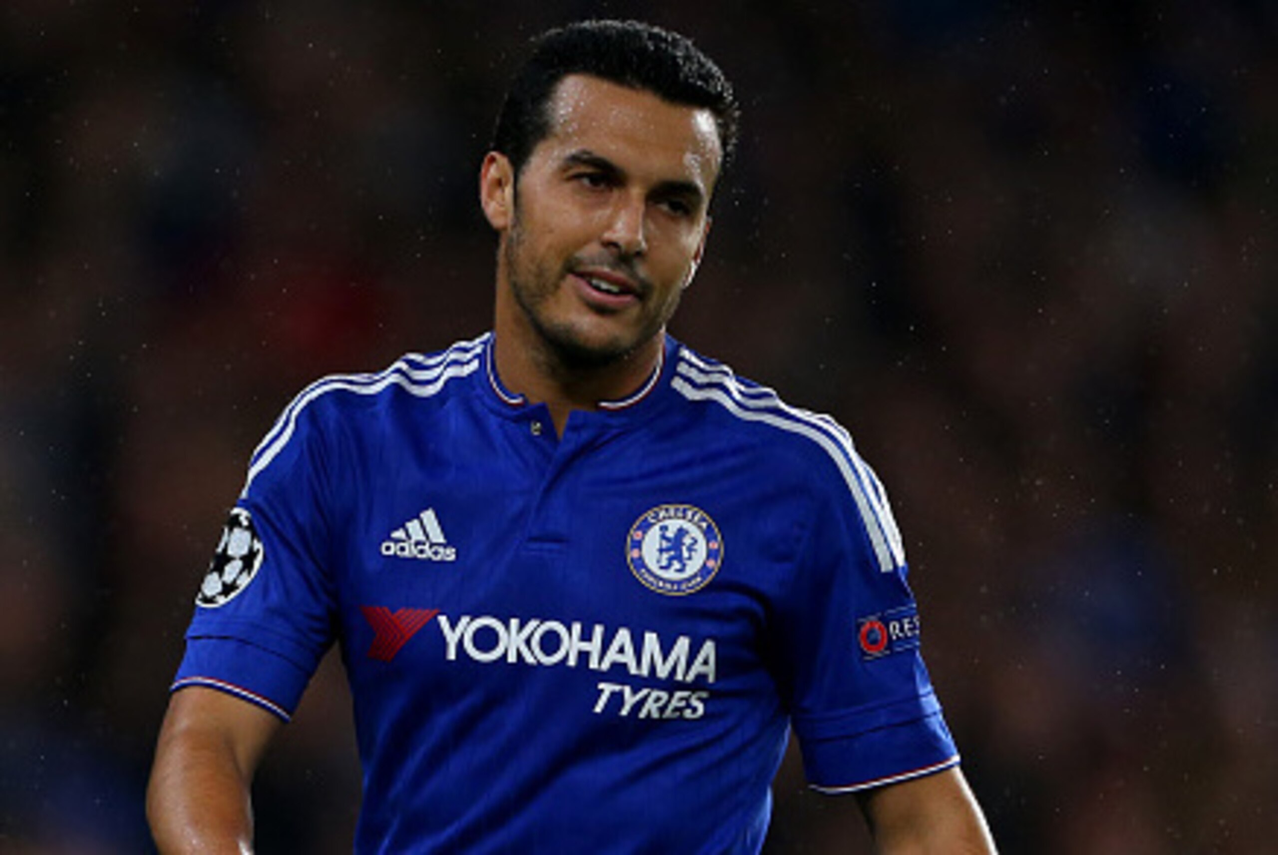 LONDON, ENGLAND - NOVEMBER 04:  Pedro of Chelsea during the UEFA Champions League Group G match between Chelsea and Dynamo Kyiv at Stamford Bridge on November 4, 2015 in London, United Kingdom.  (Photo by Catherine Ivill - AMA/Getty Images)
