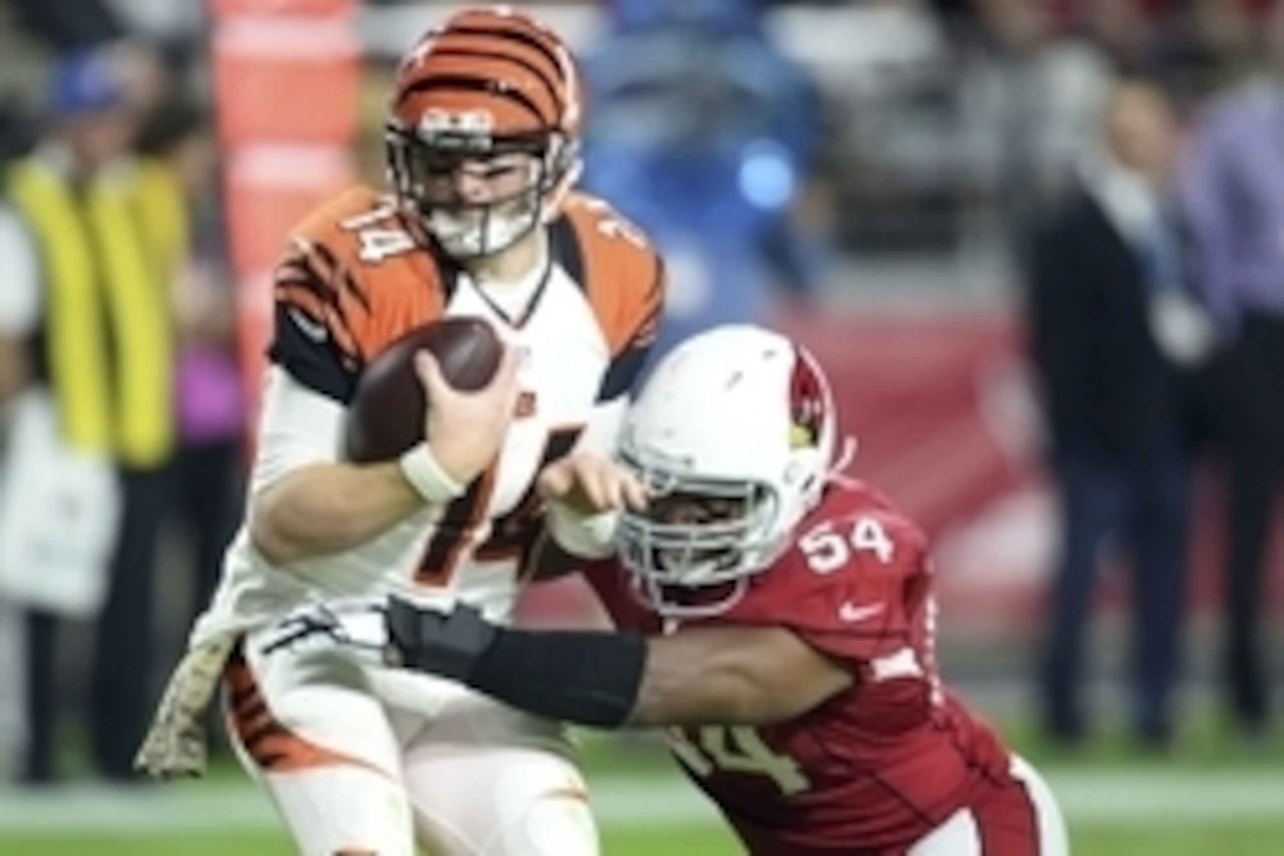 Nov 22, 2015; Glendale, AZ, USA; Arizona Cardinals inside linebacker Dwight Freeney (54) sacks Cincinnati Bengals quarterback Andy Dalton (14) during the second half at University of Phoenix Stadium. The Cardinals won 34-31. Mandatory Credit: Joe Camporea