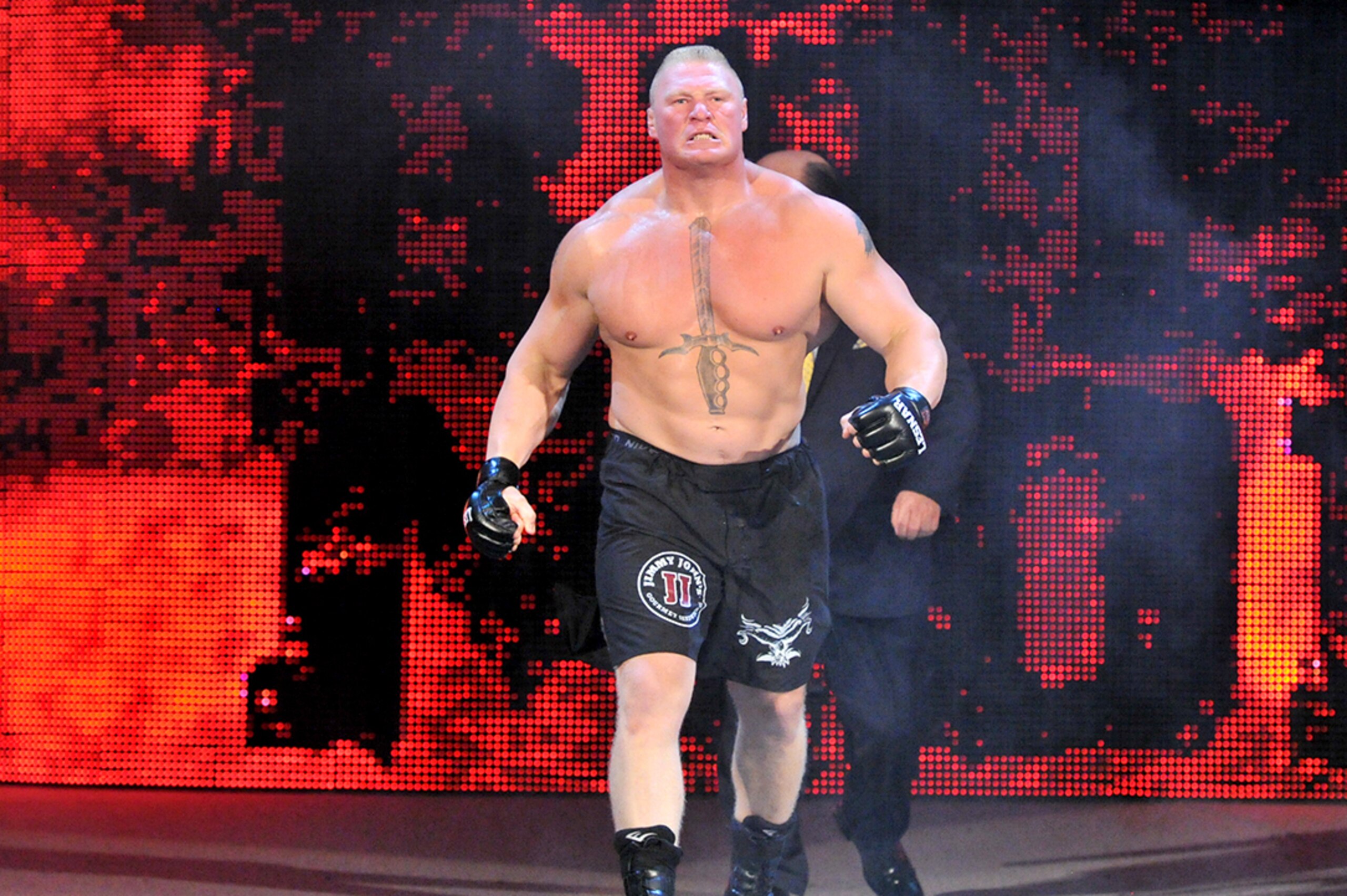 Brock was the top babyface in WWE