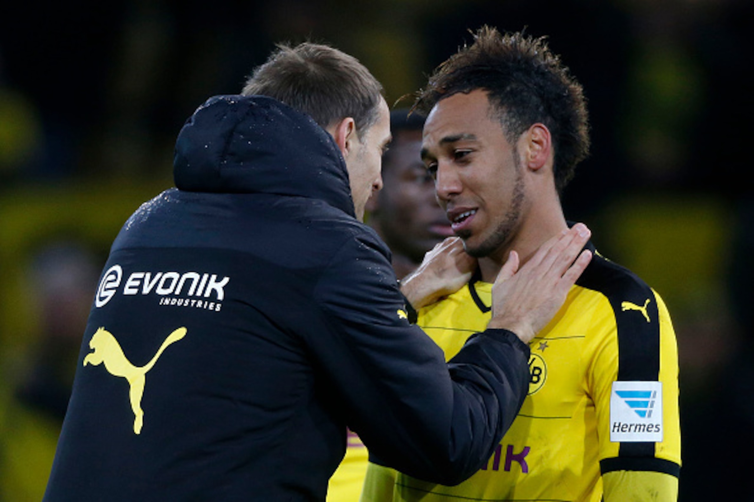 Dortmund's Gabonese striker Pierre-Emerick Aubameyang (R) and Dortmund's head coach Thomas Tuchel celebrate after the German first division Bundesliga football match Borussia Dortmund vs VfB Stuttgart, in Dortmund, western Germany, on November 29, 2015. D