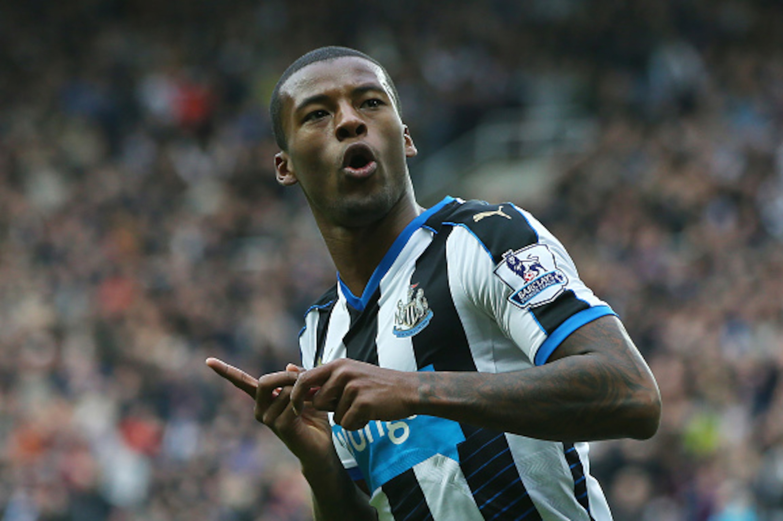 NEWCASTLE, ENGLAND - OCTOBER 18: Georginio Wijnaldum of Newcastle United celebrates his first goal during the Barclays Premier League match between Newcastle United and Norwich City at St James Park on October 18, 2015 in Newcastle, England. (Photo by Ian NEWCASTLE, ENGLAND - OCTOBER 18: Georginio Wijnaldum of Newcastle United celebrates his first goal during the Barclays Premier League match between Newcastle United and Norwich City at St James Park on October 18, 2015 in Newcastle, England. (Photo by Ian